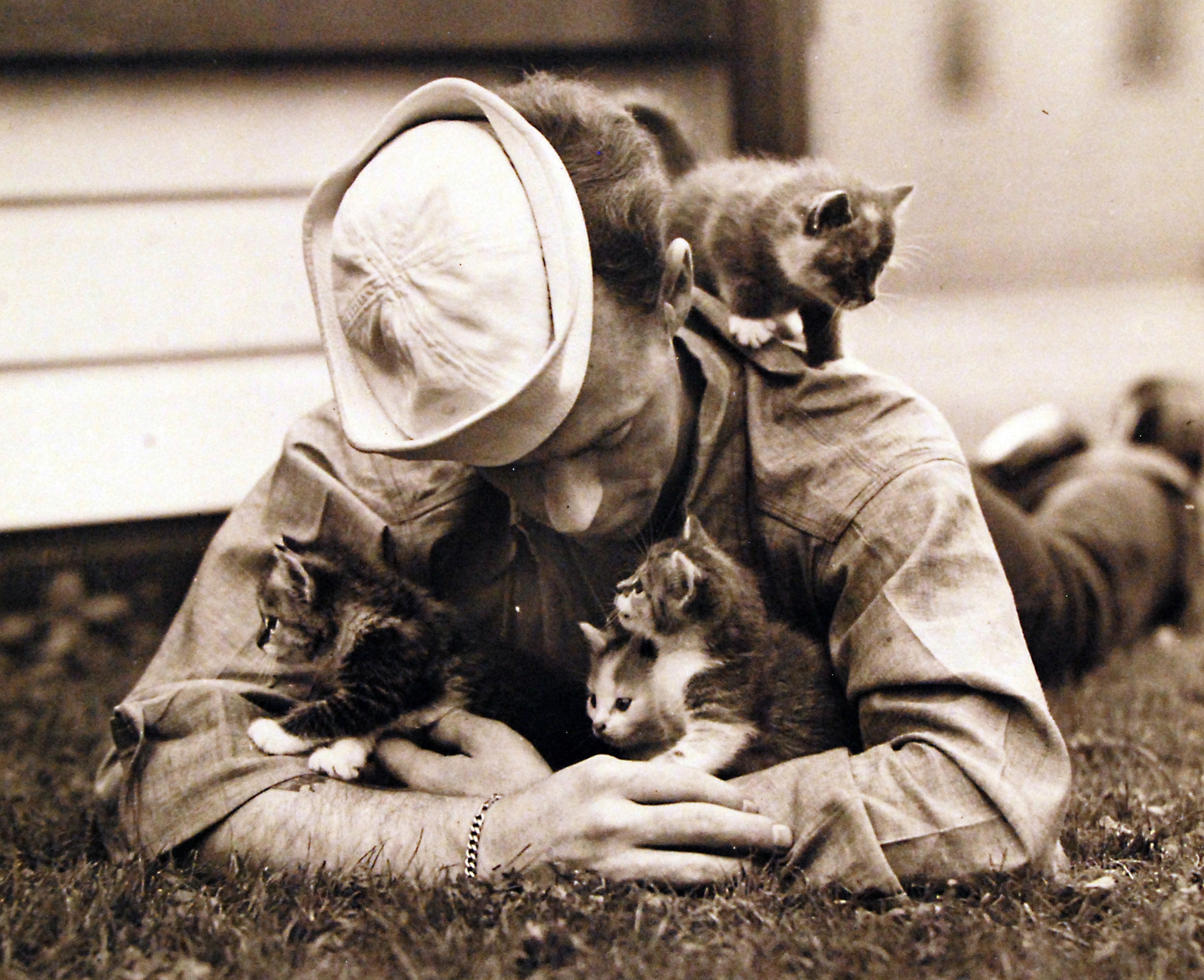 Photo of sailor laying in grass playing with kittens