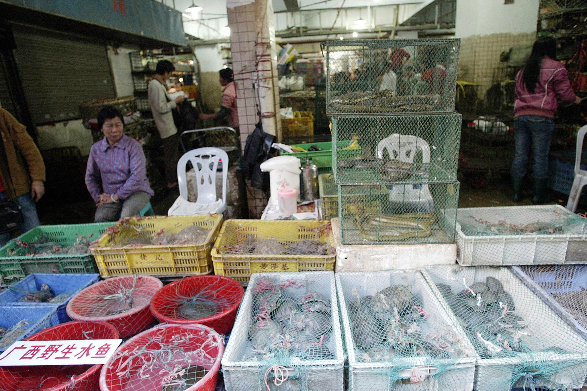 a vendor selling live animals