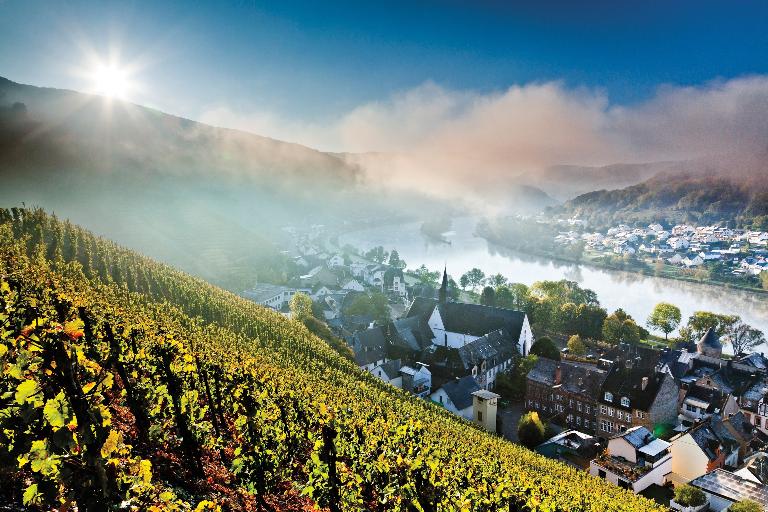 Moselle River Valley, Germany