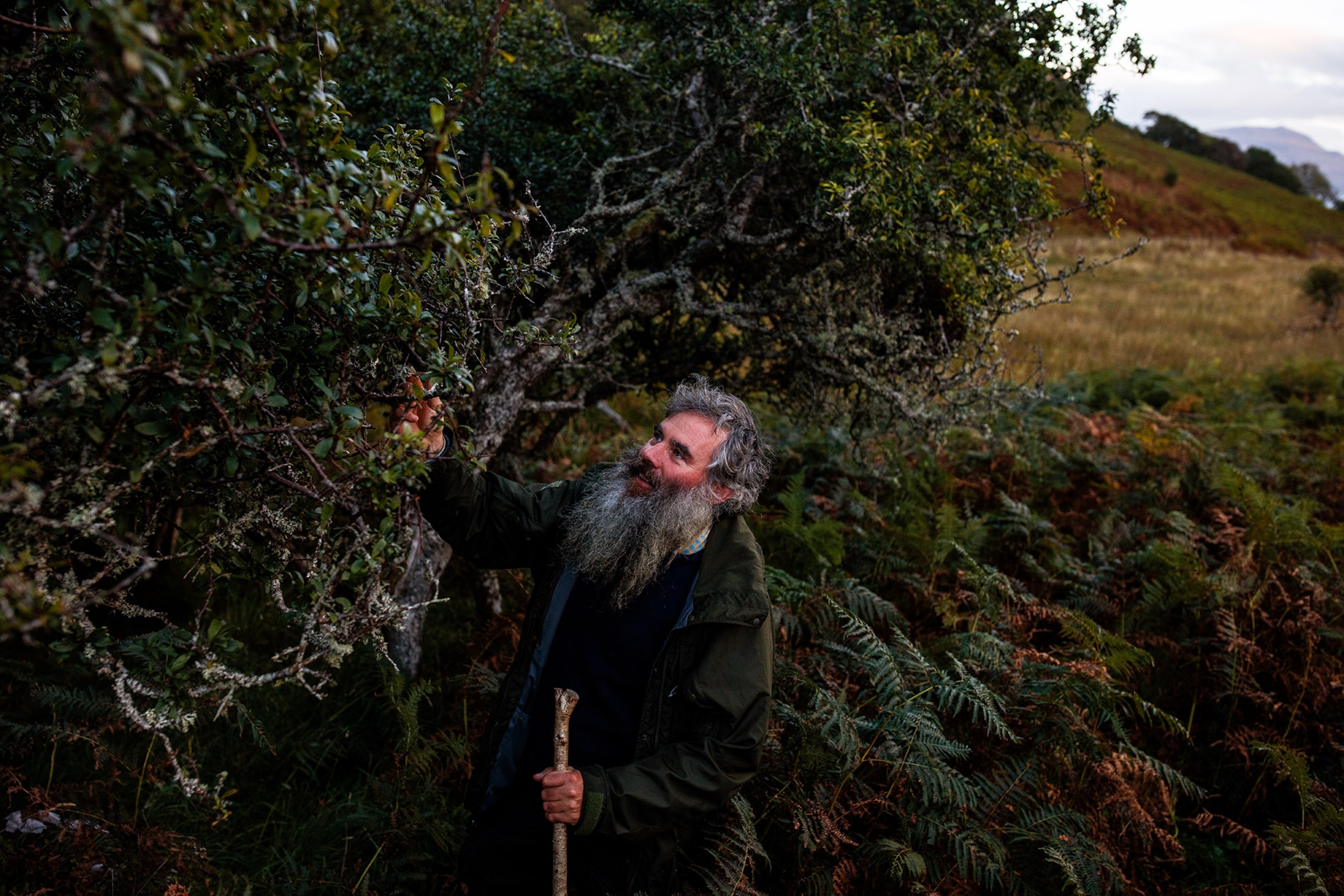 Alasdair Firth a woodland ecologist, examines the greenery on his land