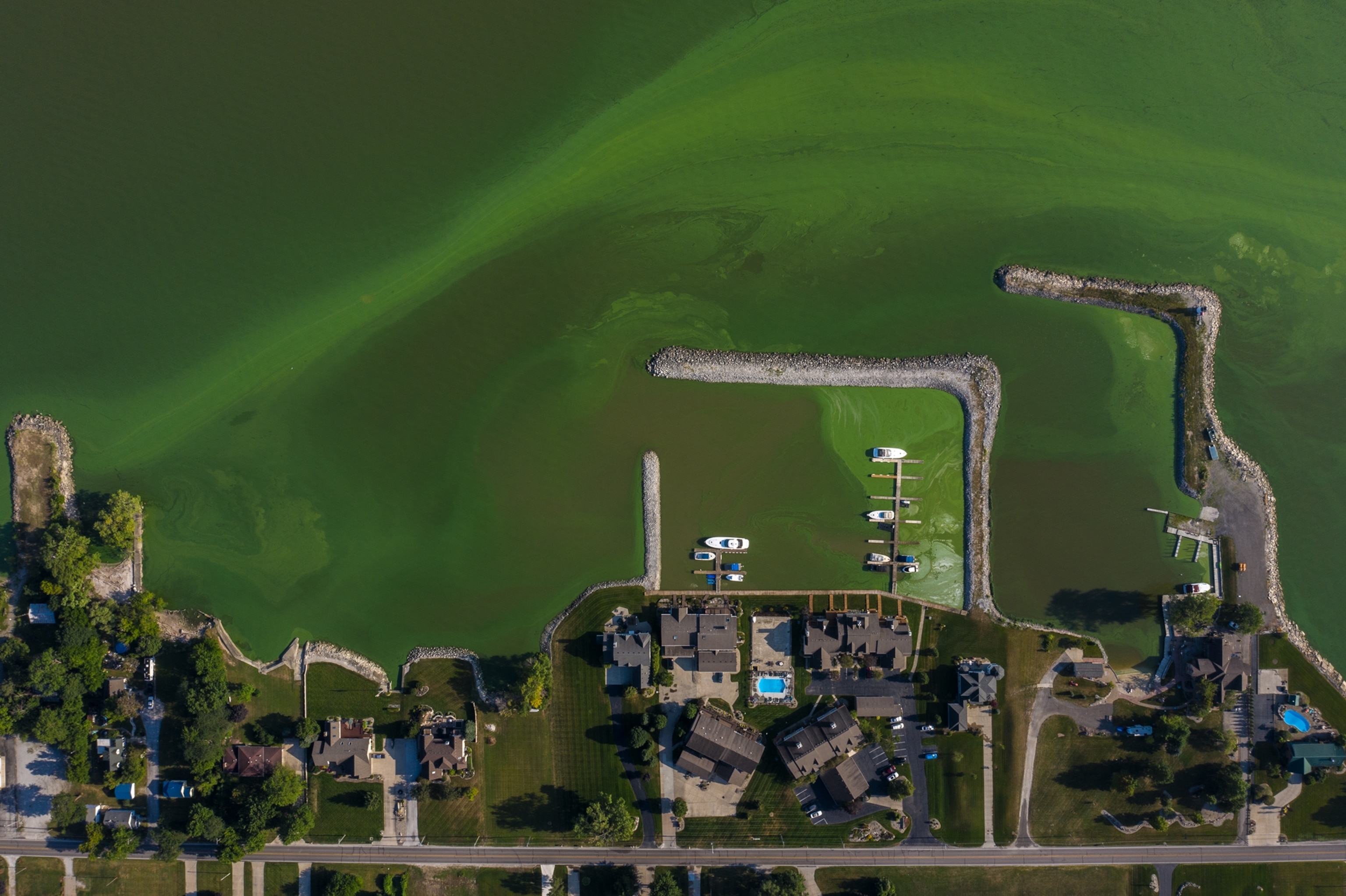 aerial view of residential area with piers and marinas in green waters.