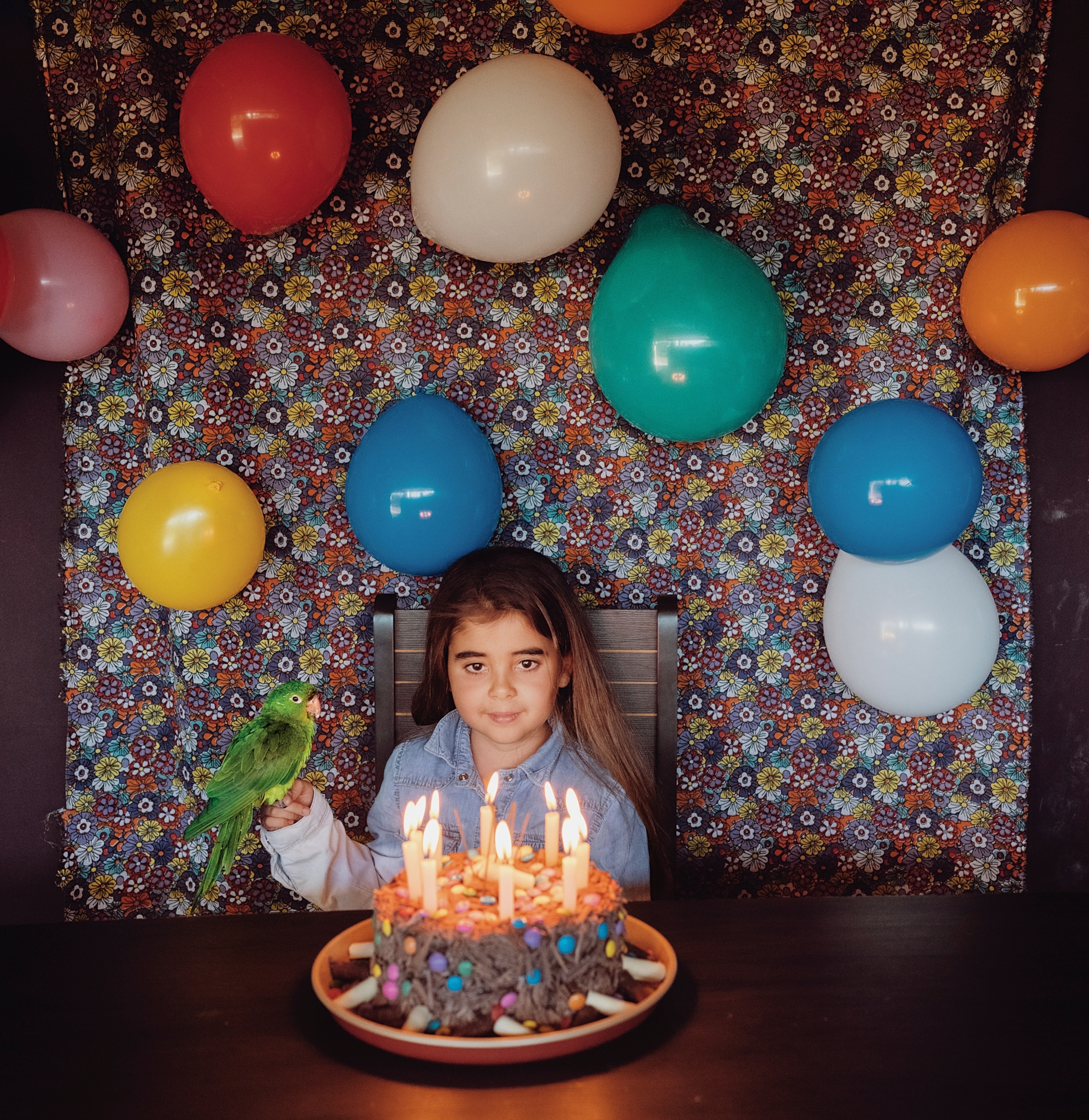 A young girl sits in a chair at a table with a birthday cake with lit candles in front of her and colorful balloons hanging on a sheet behind her, sitting on her hand is a green bird
