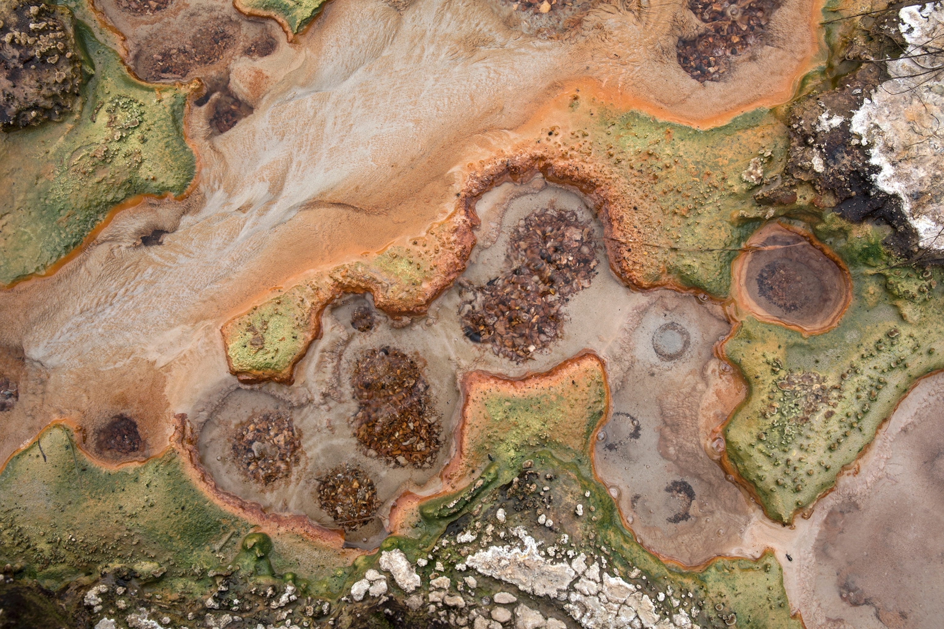 Yellowstone