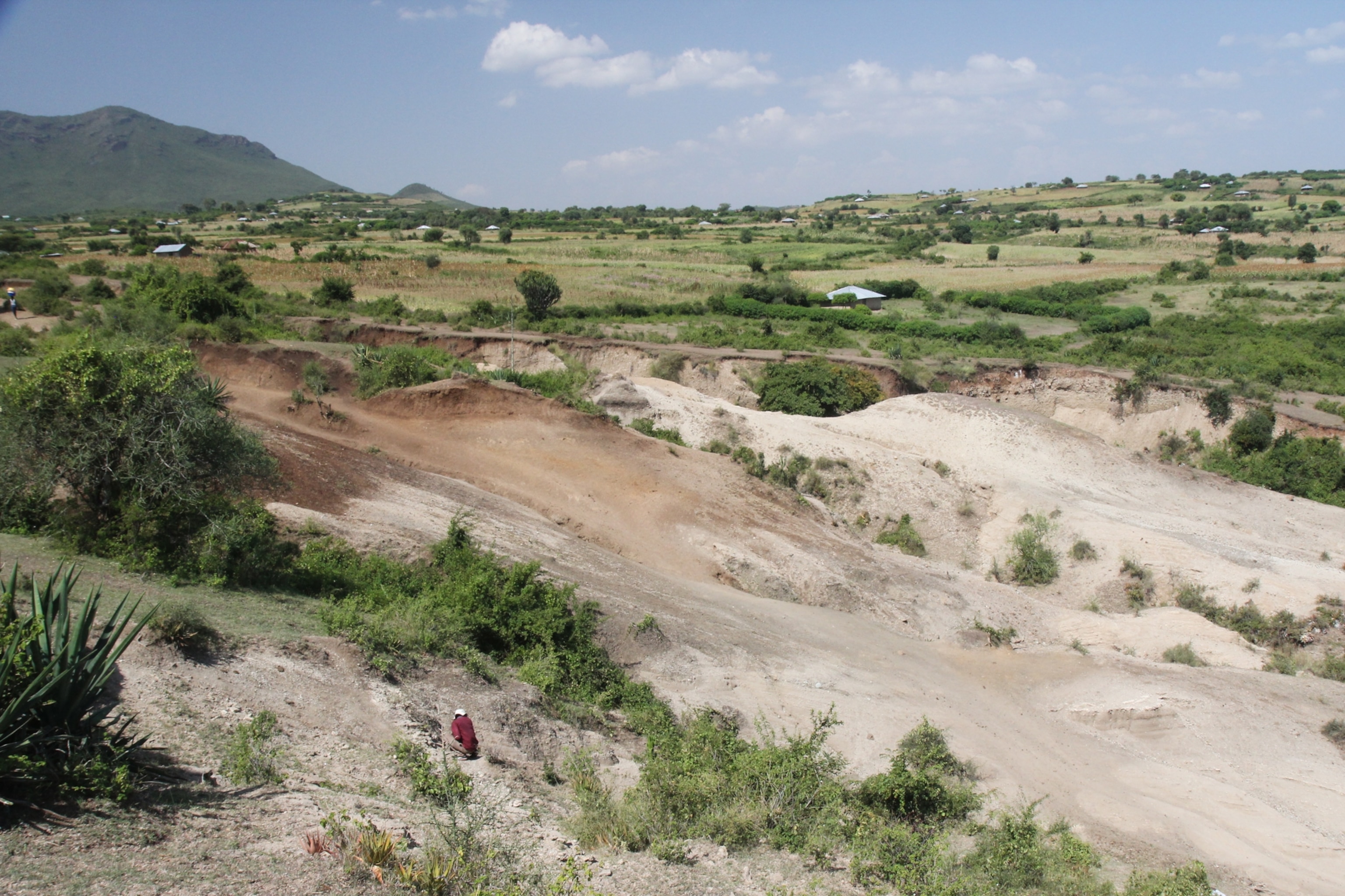 The Nyayanga site as it was seen in 2014, prior to excavation.
