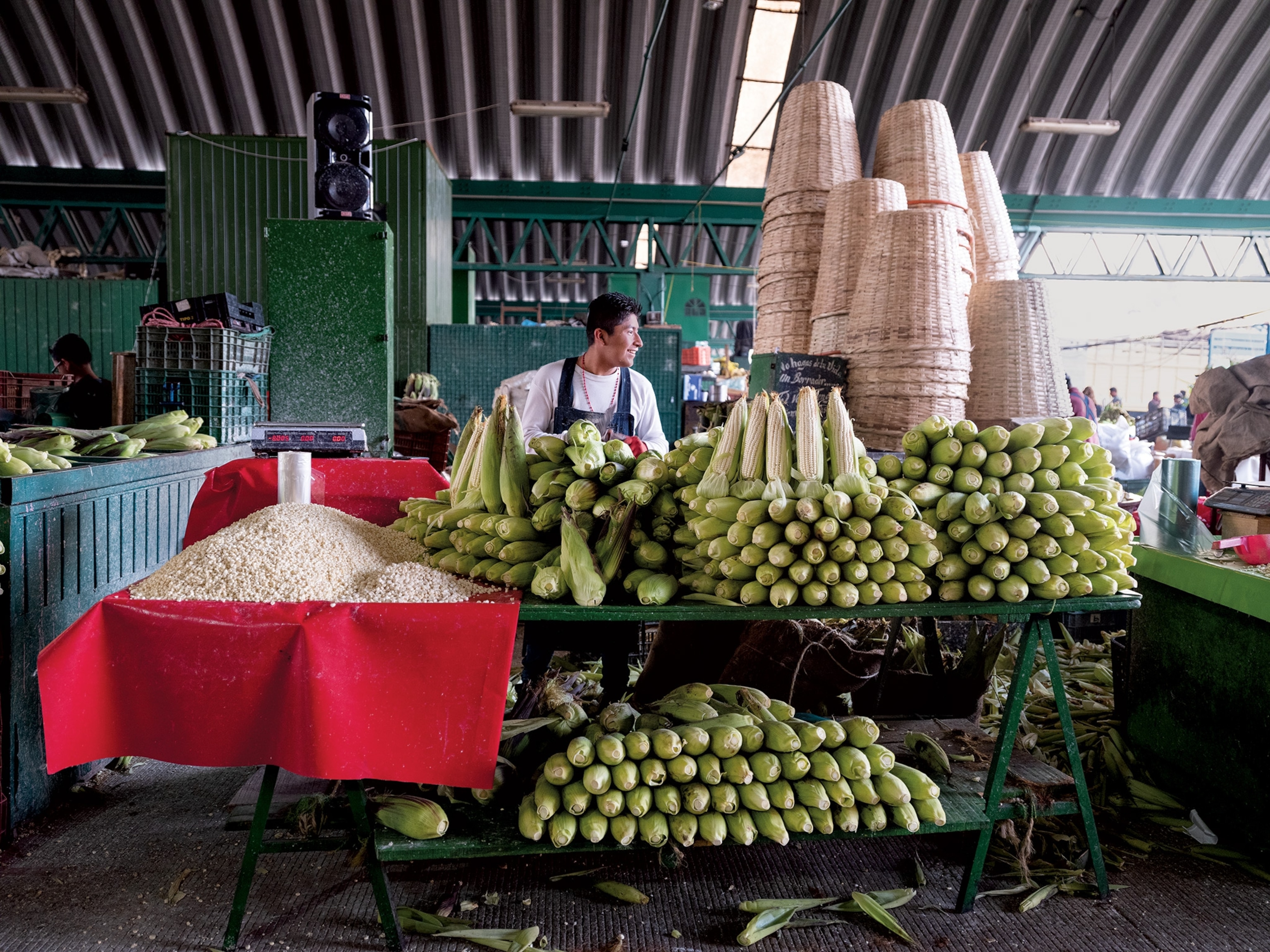 cobs for sale in Mexico City, Mexico