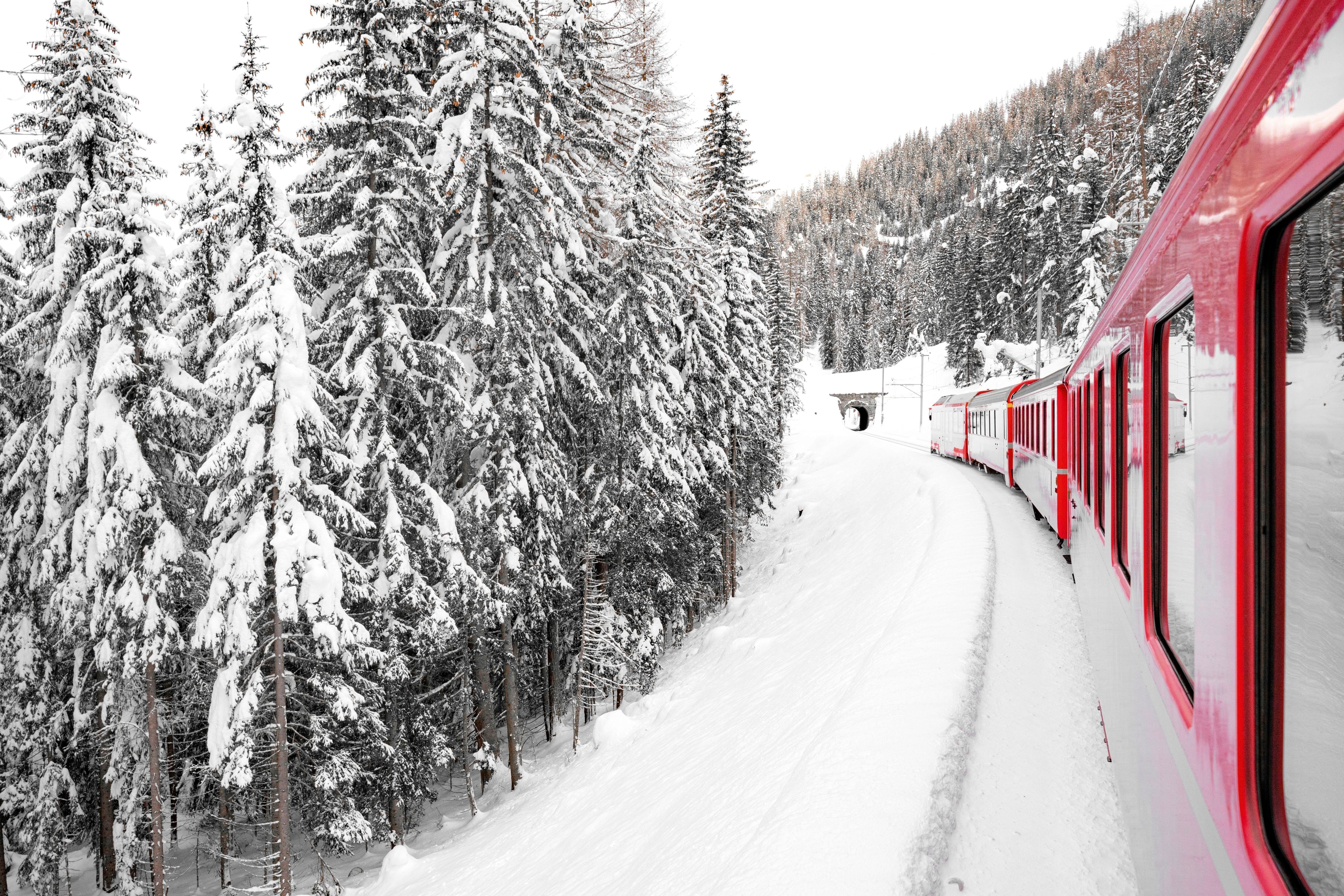 red hued train travelling through now covered forest lands