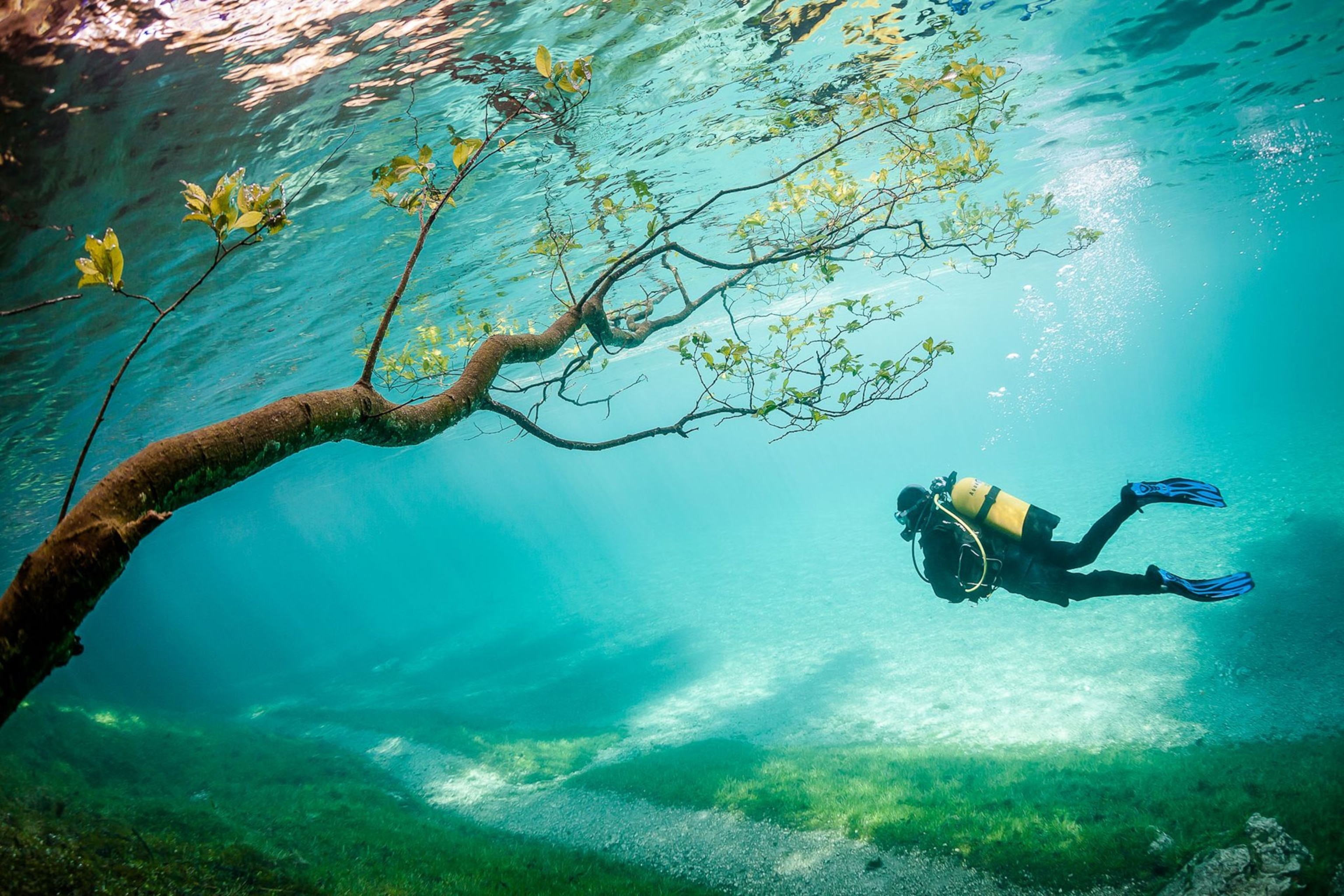 scuba diver