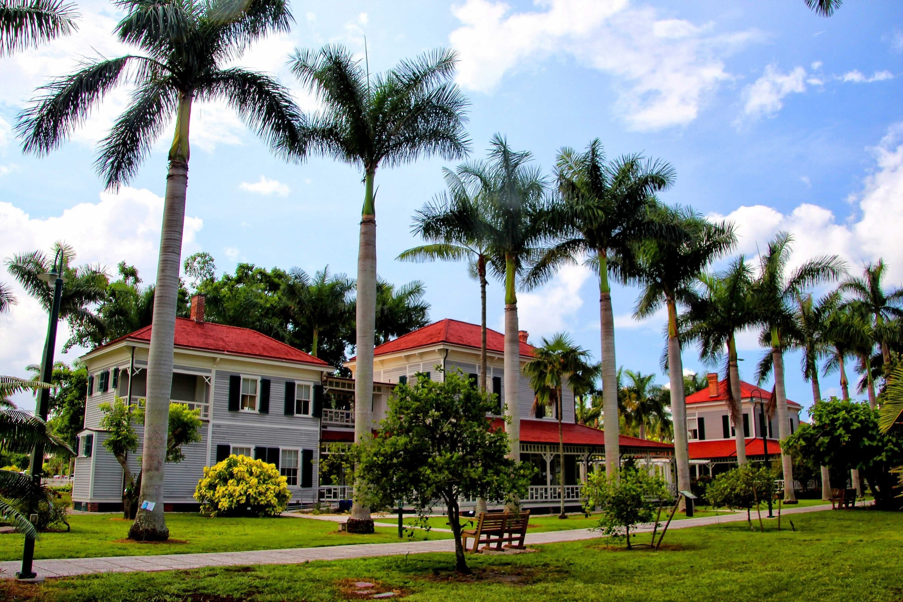 The Edison Ford Winter Estates. They have red roofs, which contrast the rows of green palm trees on either side.