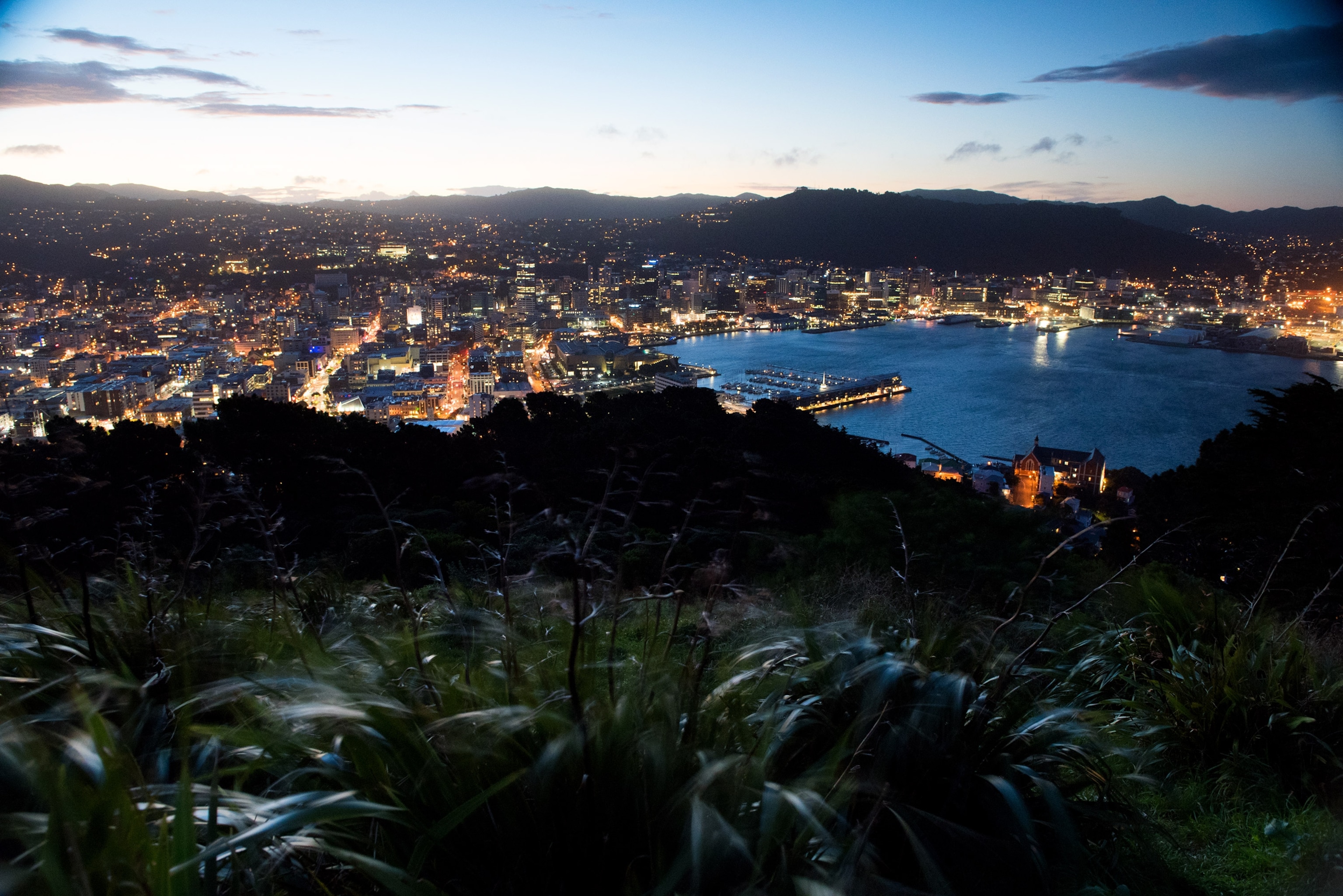 view of Wellington from Mount Victoria overlook in Wellington, New Zealand