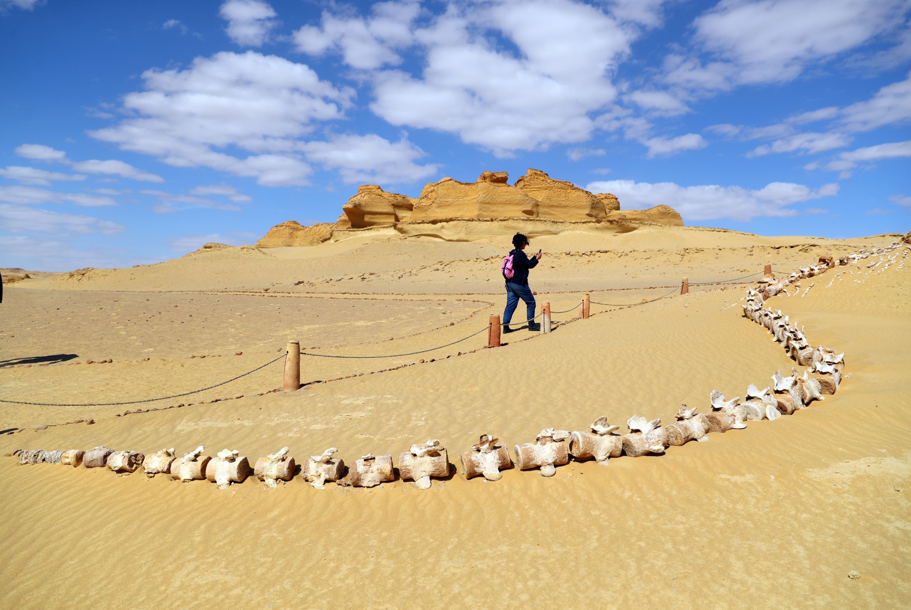 A tourist visits the fossil remains at the Wadi Al-Hitan in Fayoum, Egypt