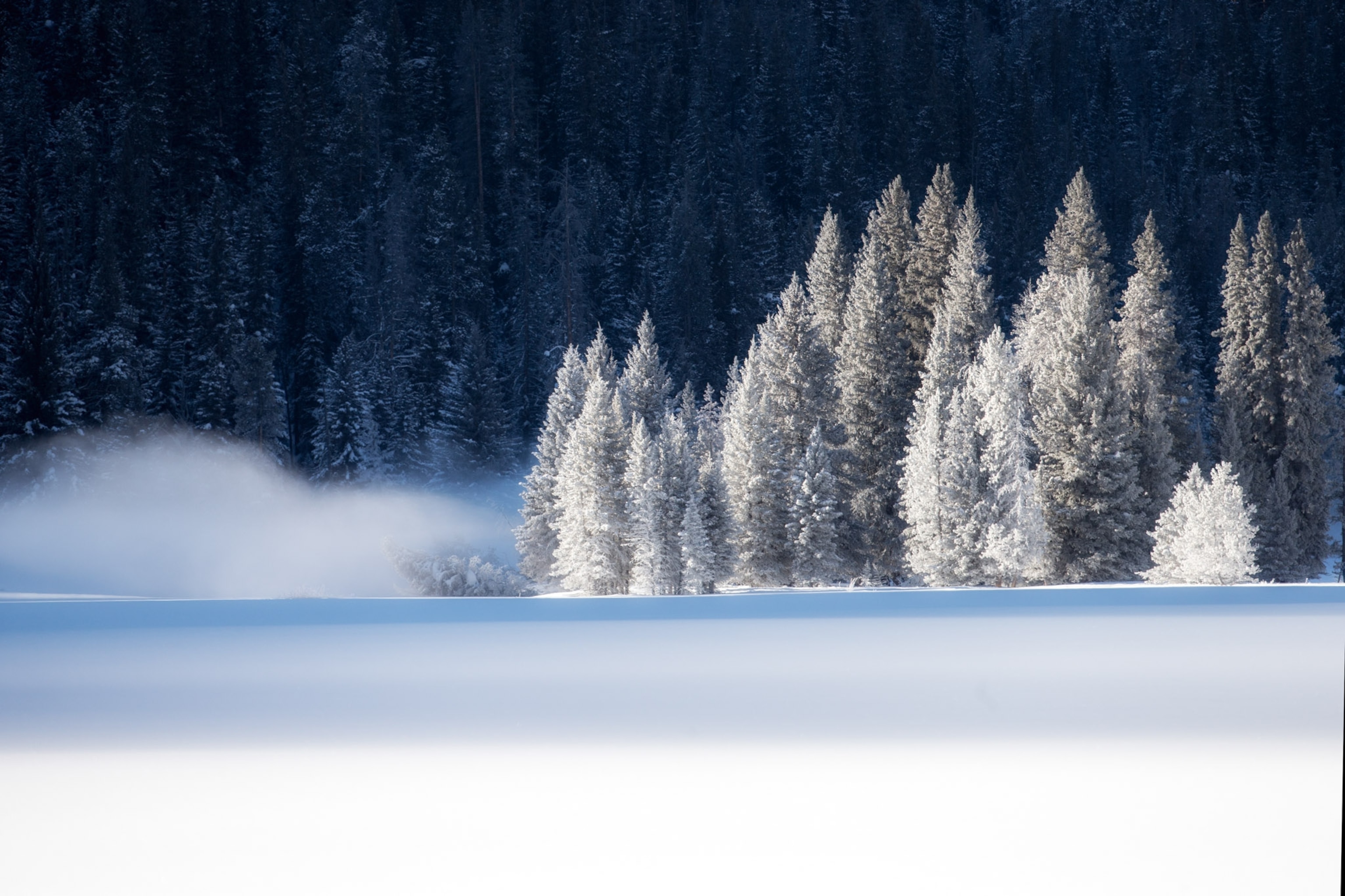 Trees filled with snow in the foreground.