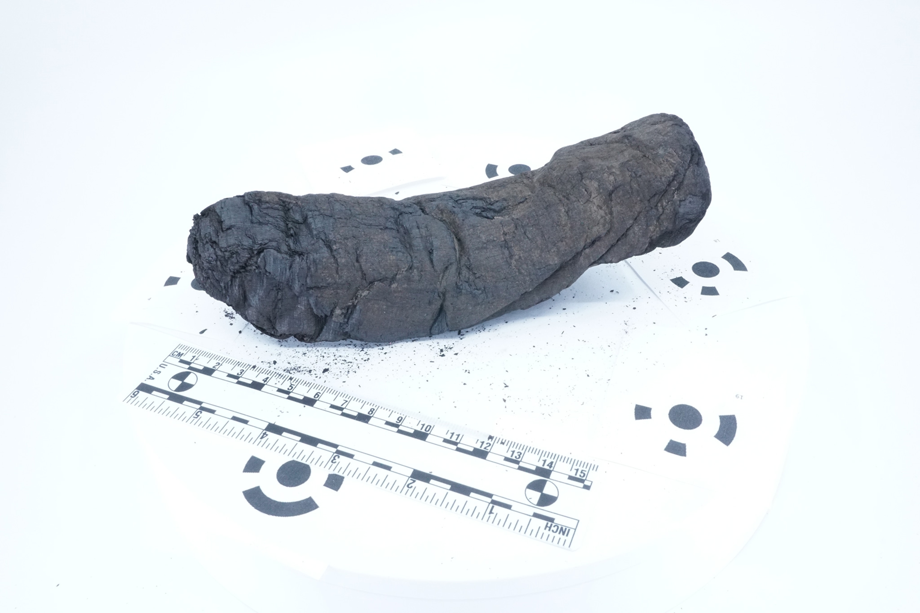 Herculaneum scroll being imaged.
