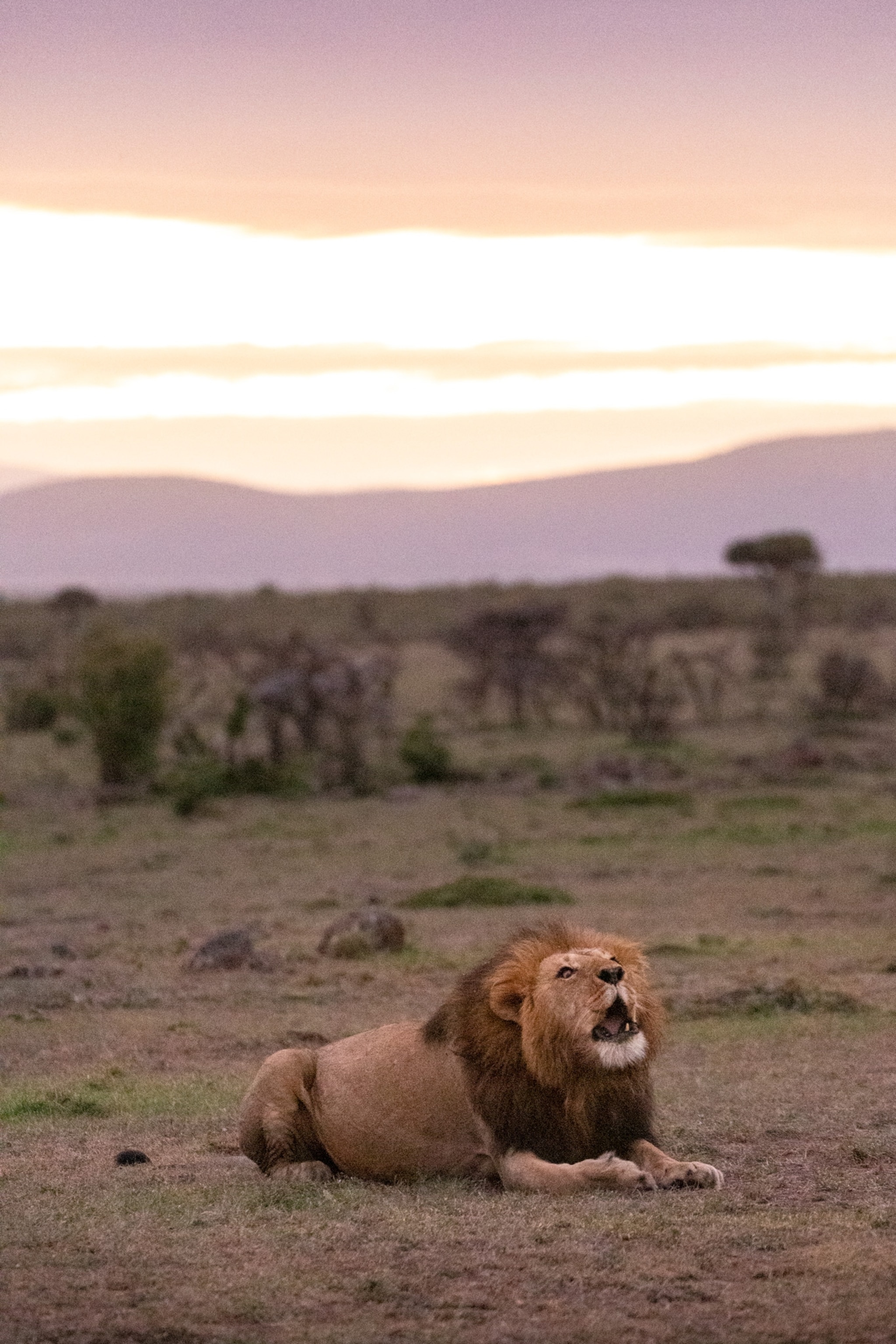 in kenya africa