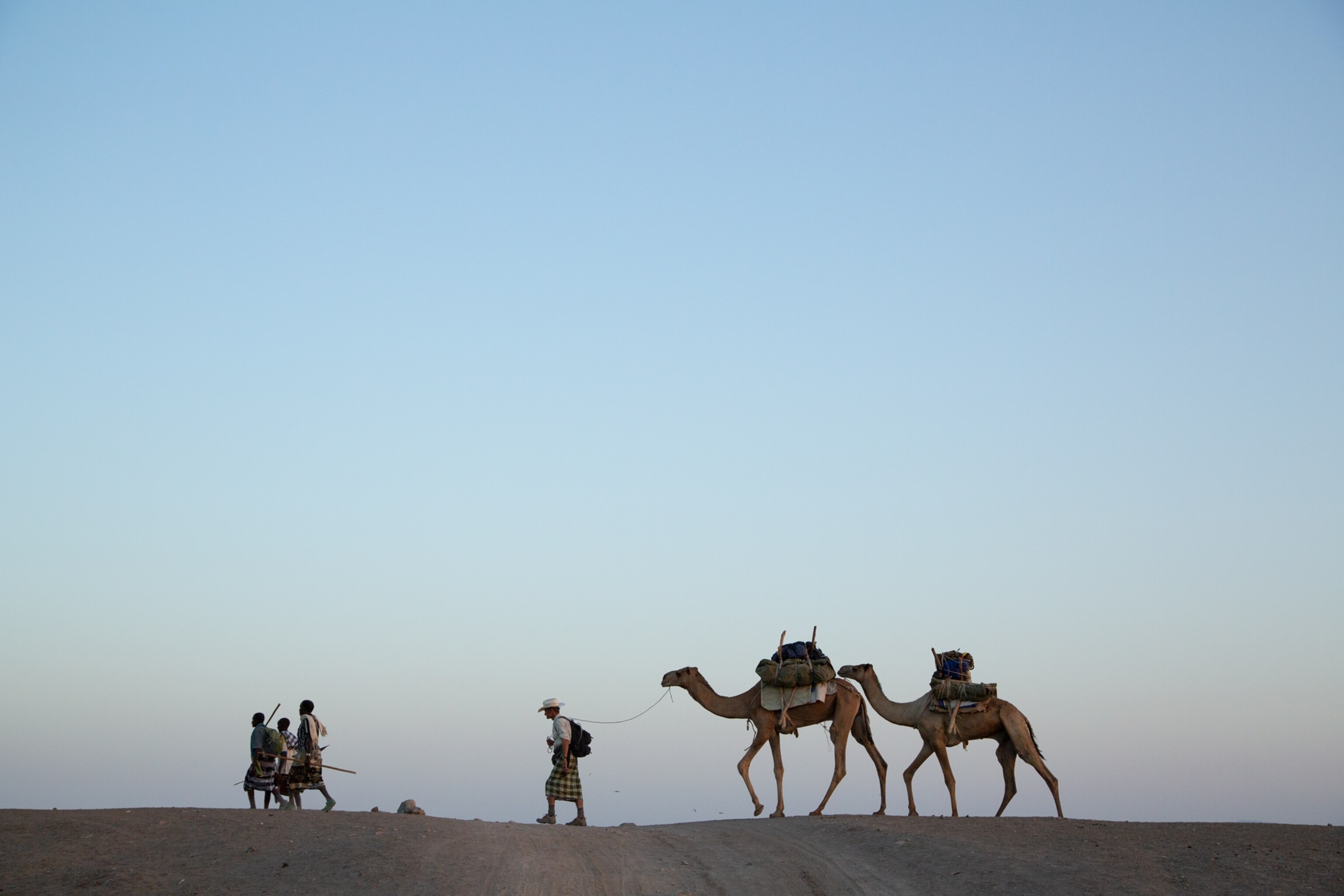 Photo of silhouetted men walking with camels