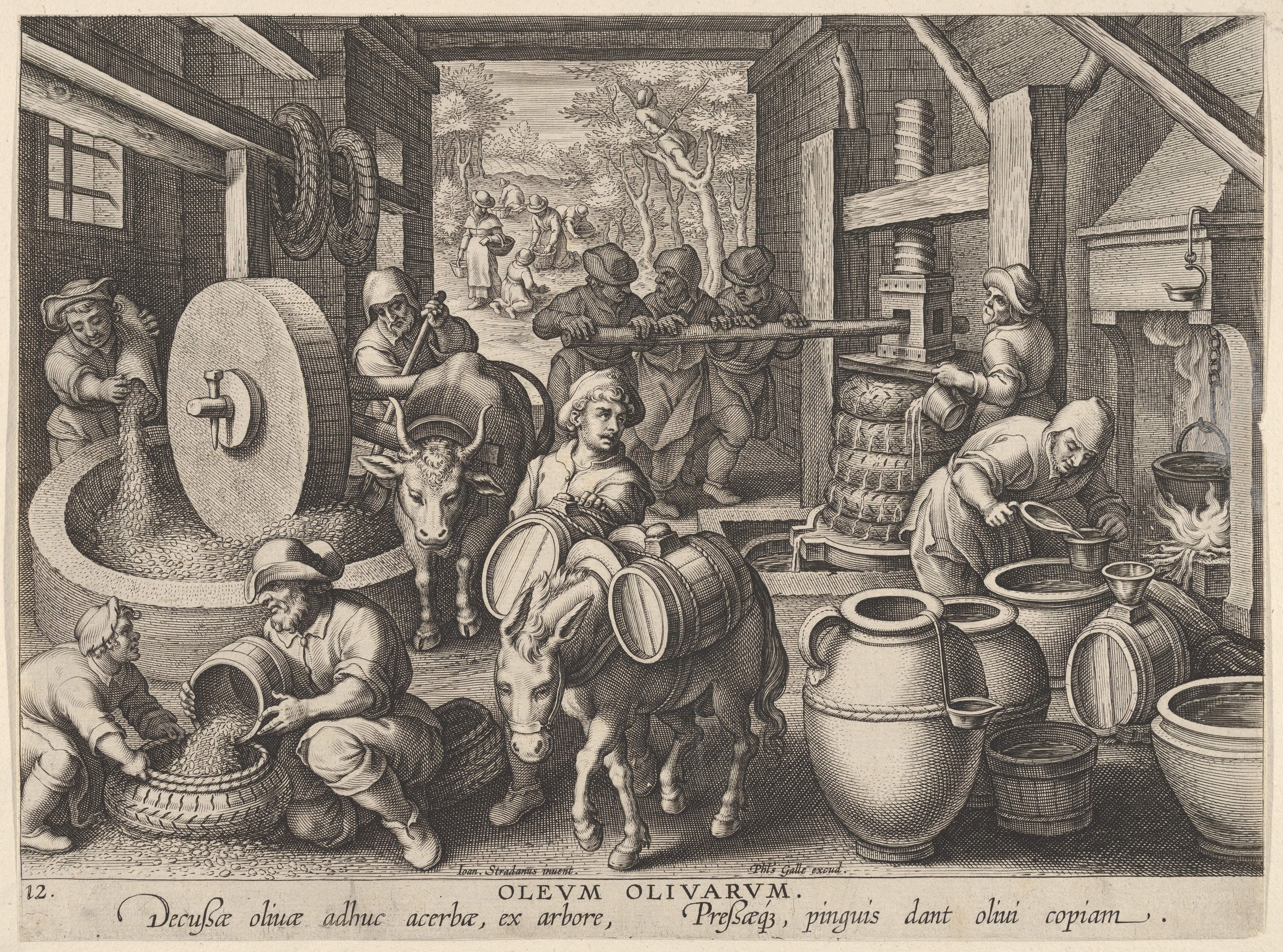 A black and white image illustrating an active workshop of olive oil pressers.