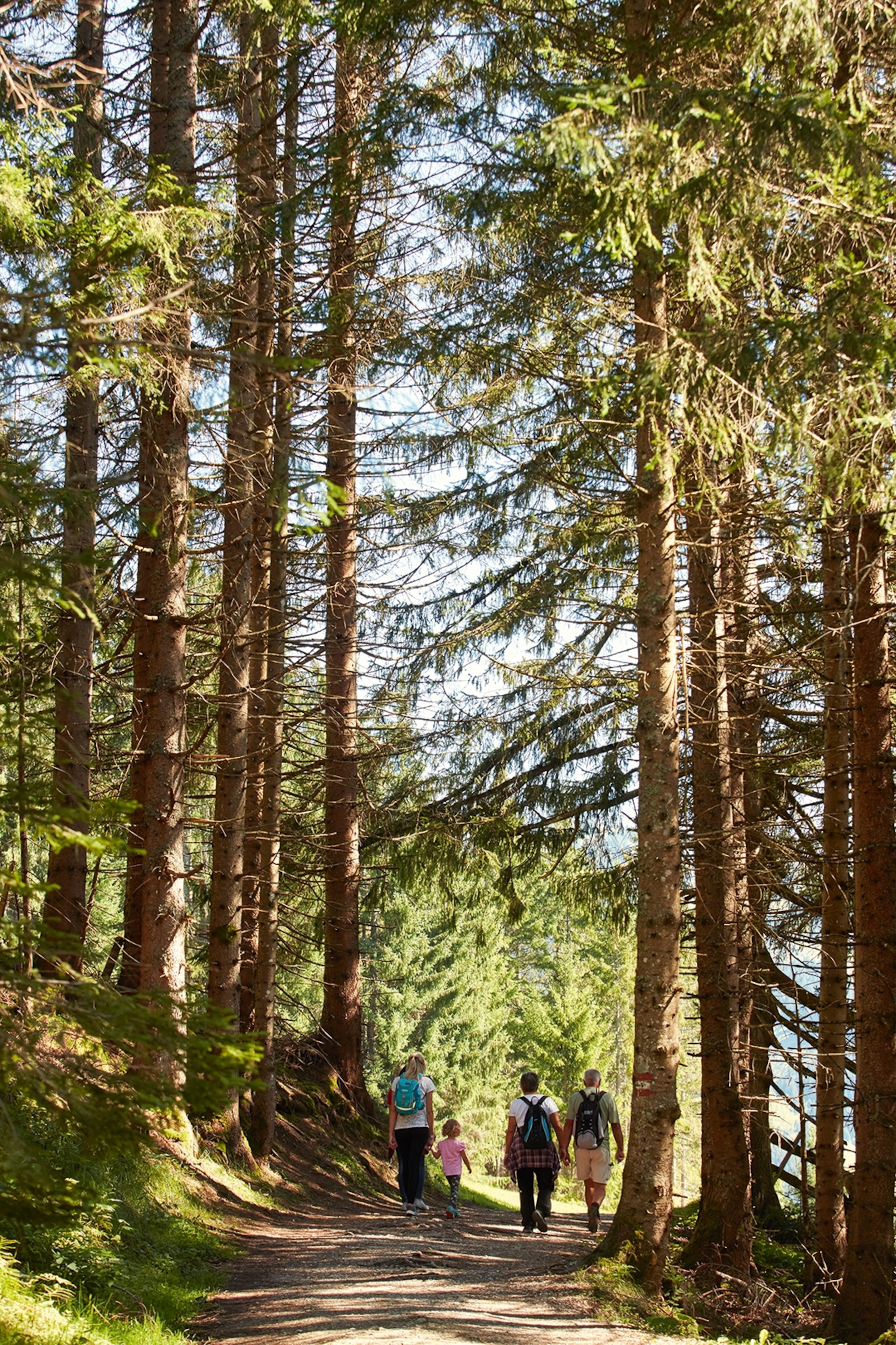 Three hikers and a child walking through a woody forest in Werfen.