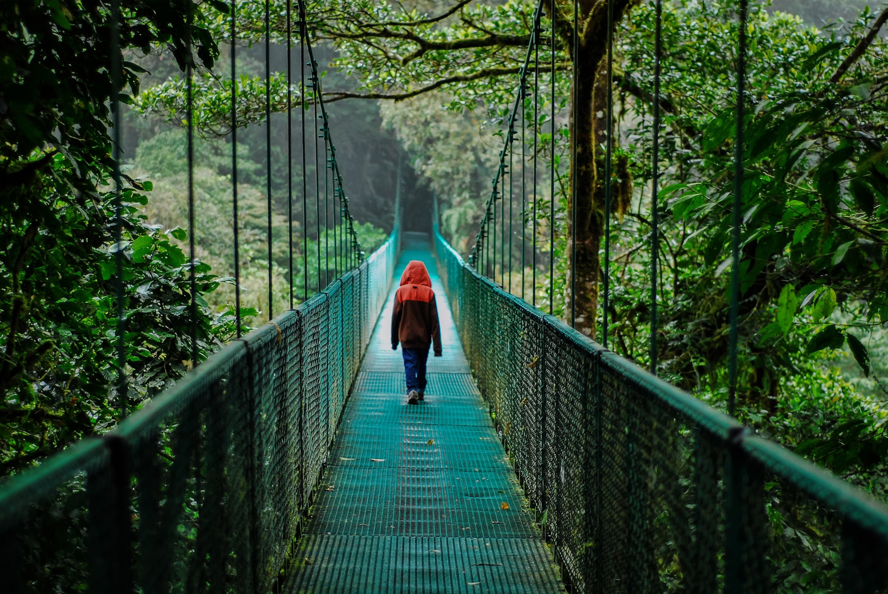a hanging bridge at an adventure park in Monte Verde
