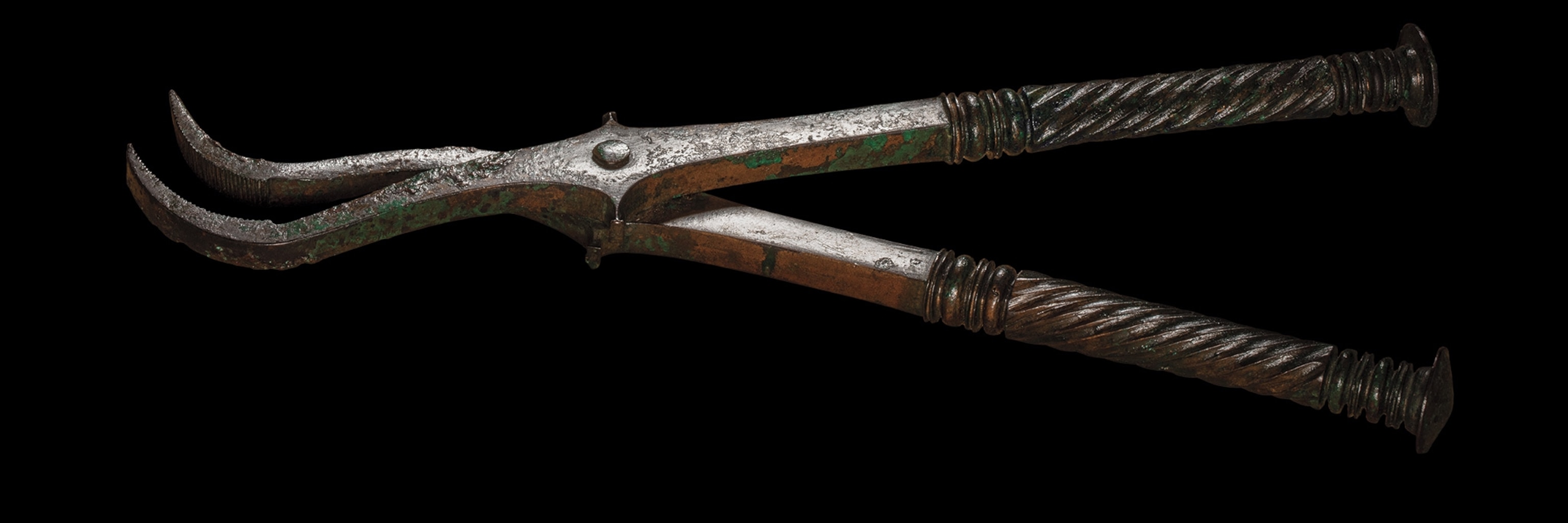 Forceps were among the medical equipment found at Pompeii’s gladiator school.