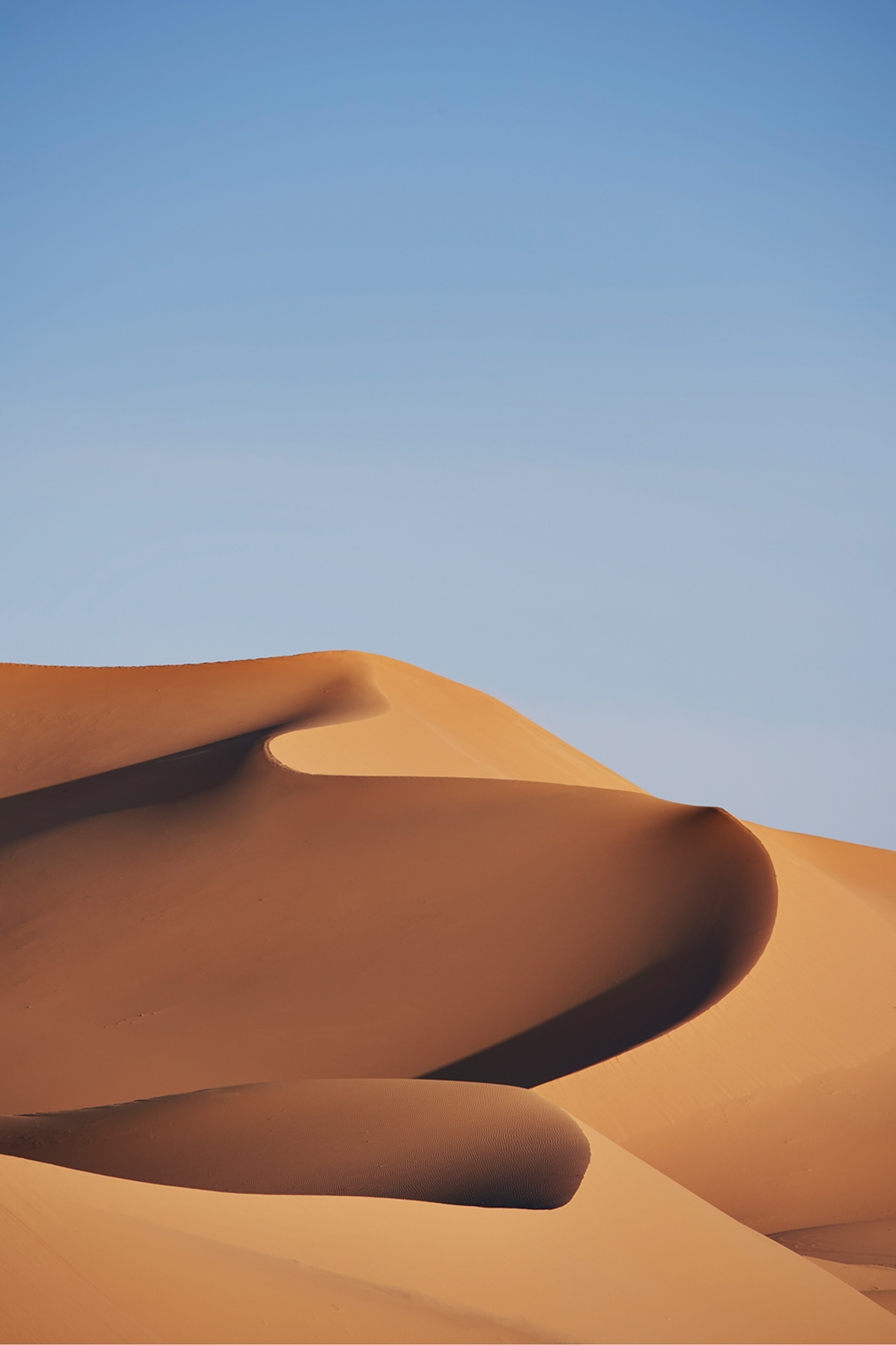 A shot of the desert in Algeria. The sky is blue and clear, and the sand dunes is untouched, forming a natural curved pattern.