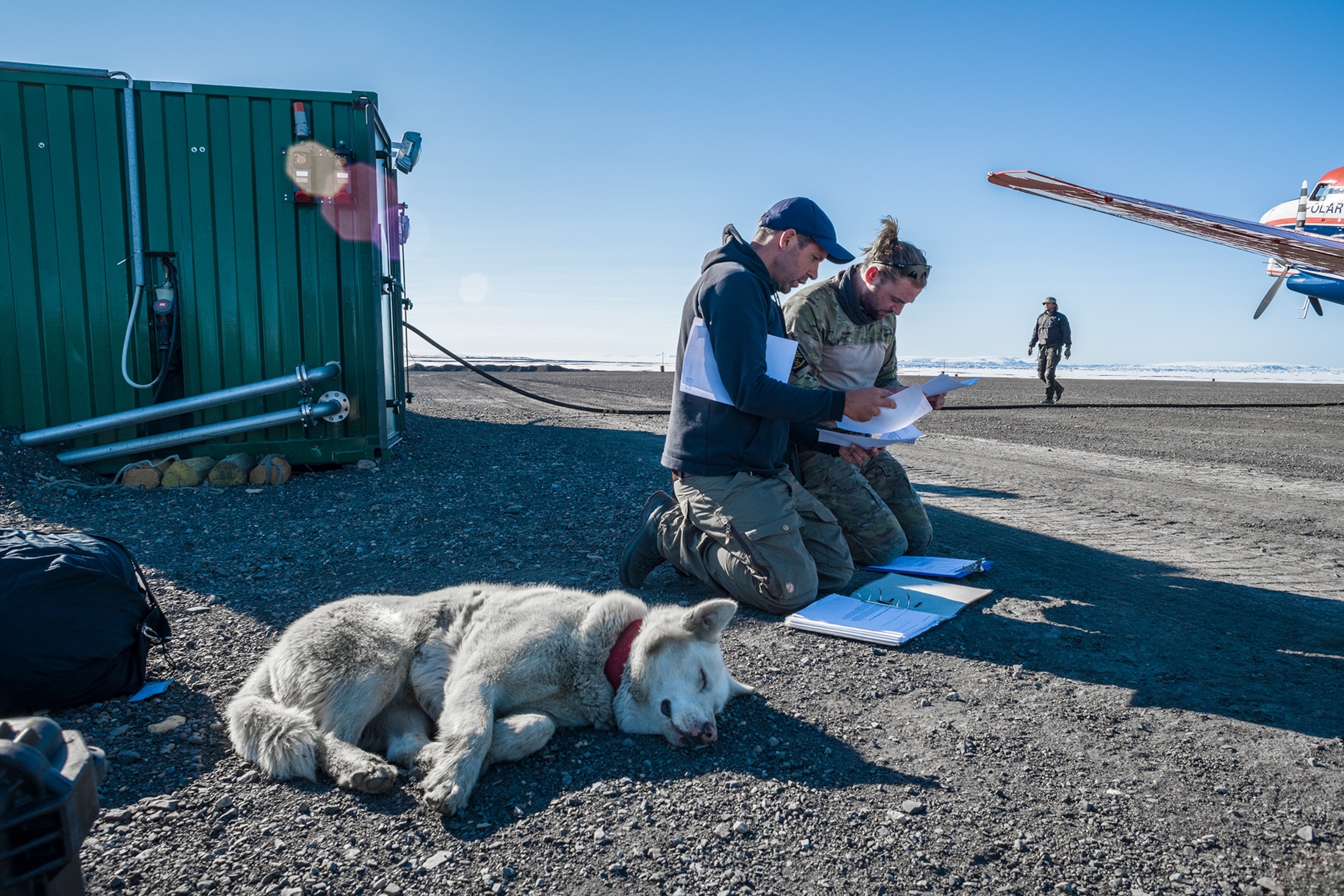 researchers gathering materials while a guard dog rests nearby