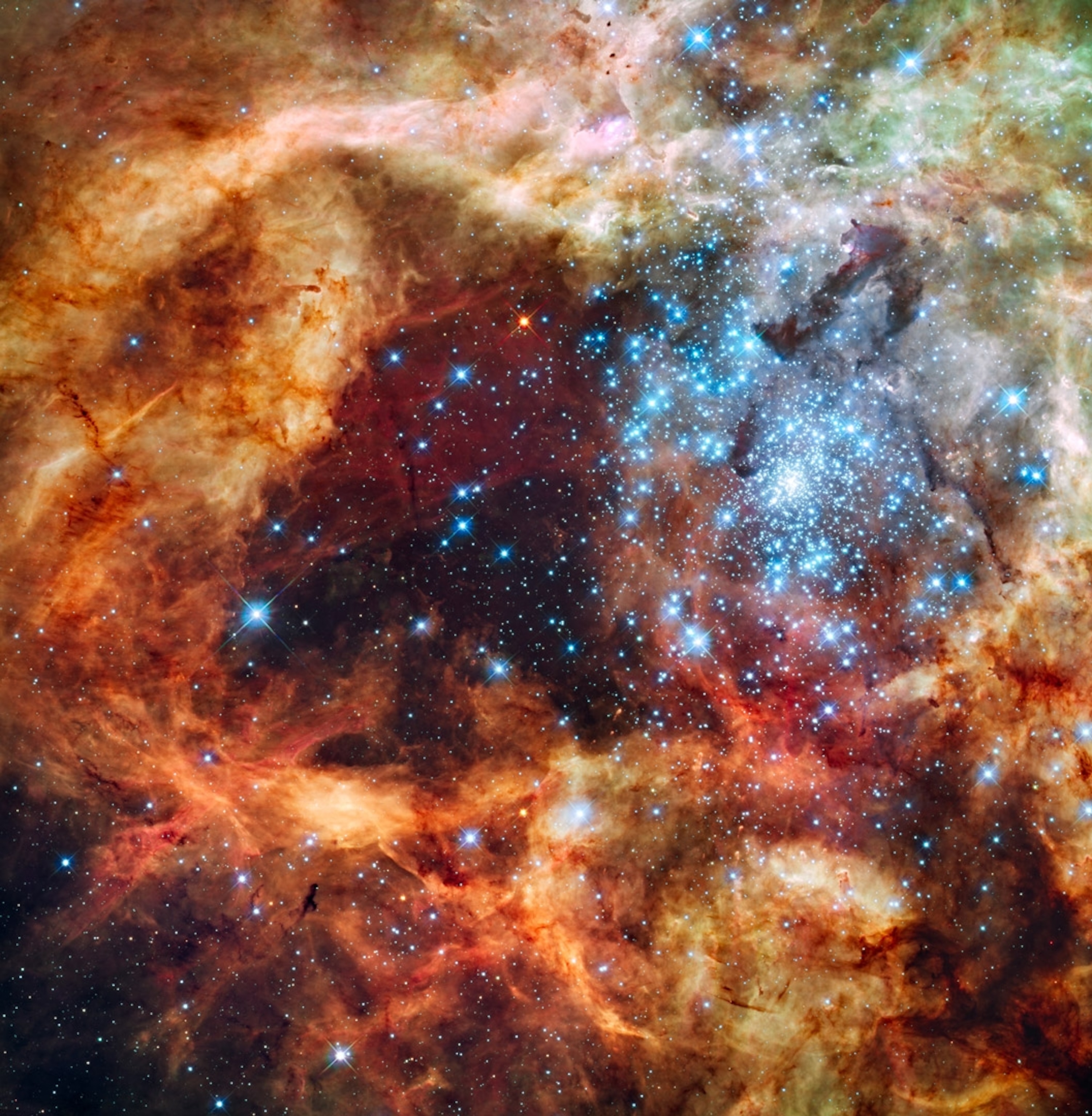the Tarantula Nebula