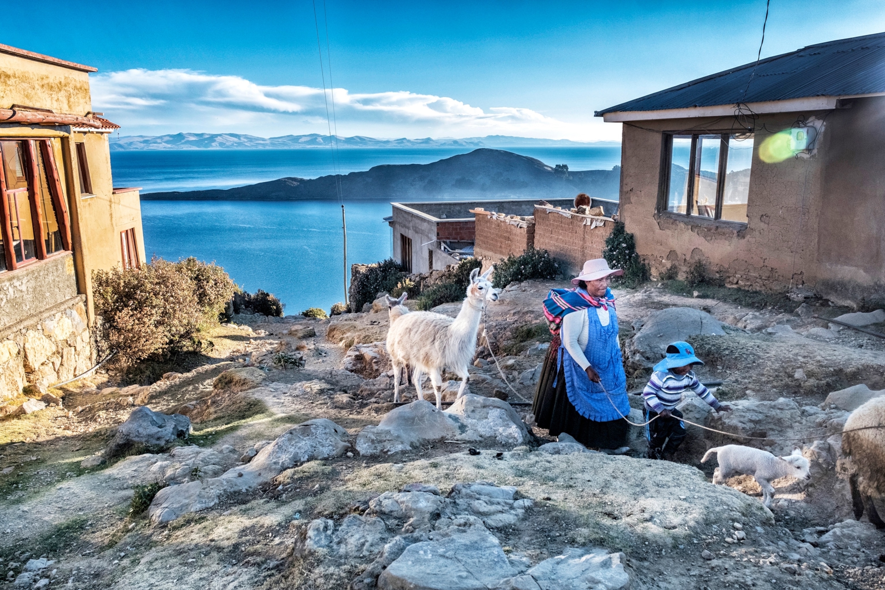 a shepherd bringing her llama and sheep back to her house in Yumani village Bolivia