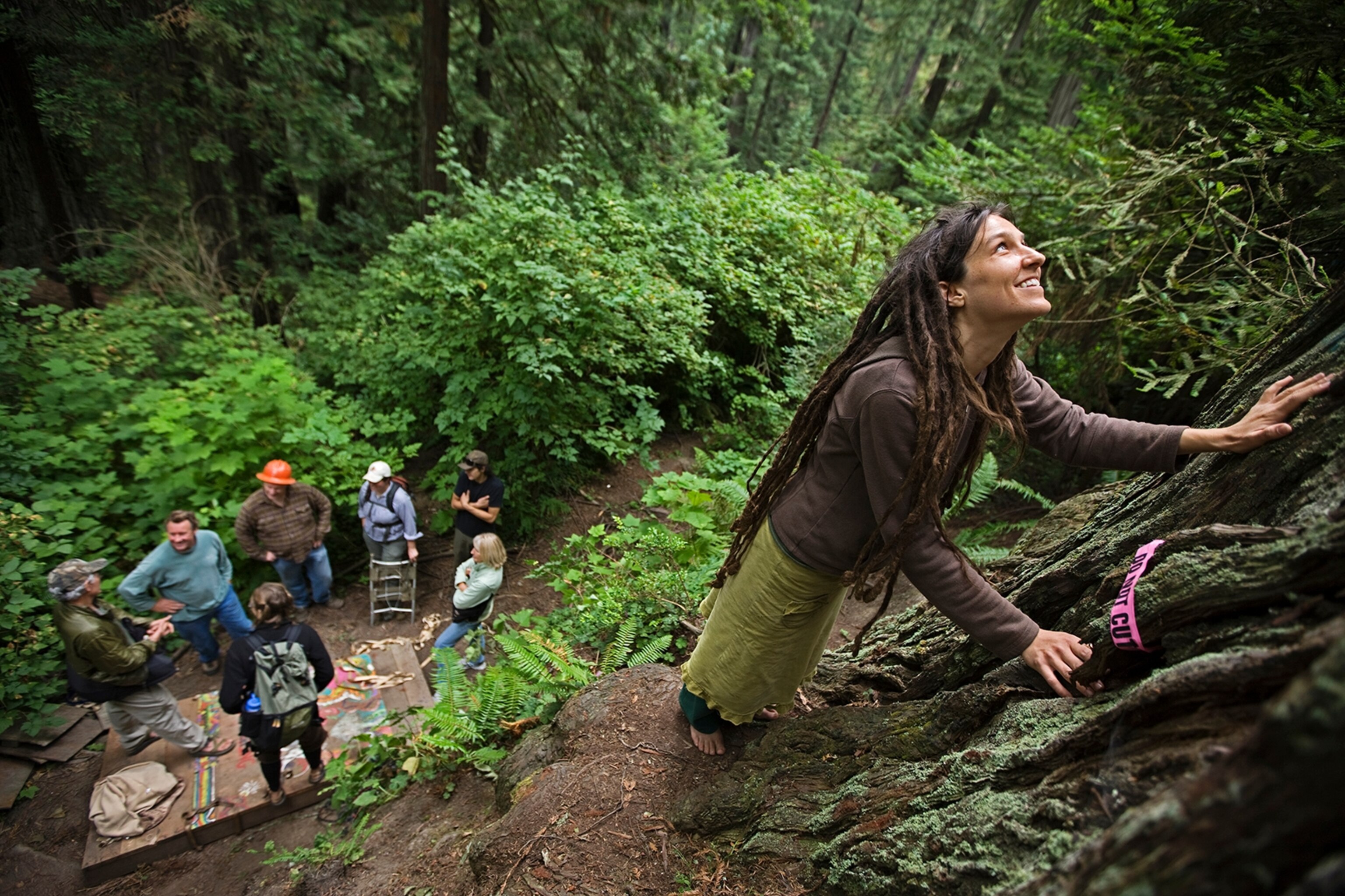 an activist with a redwood tree