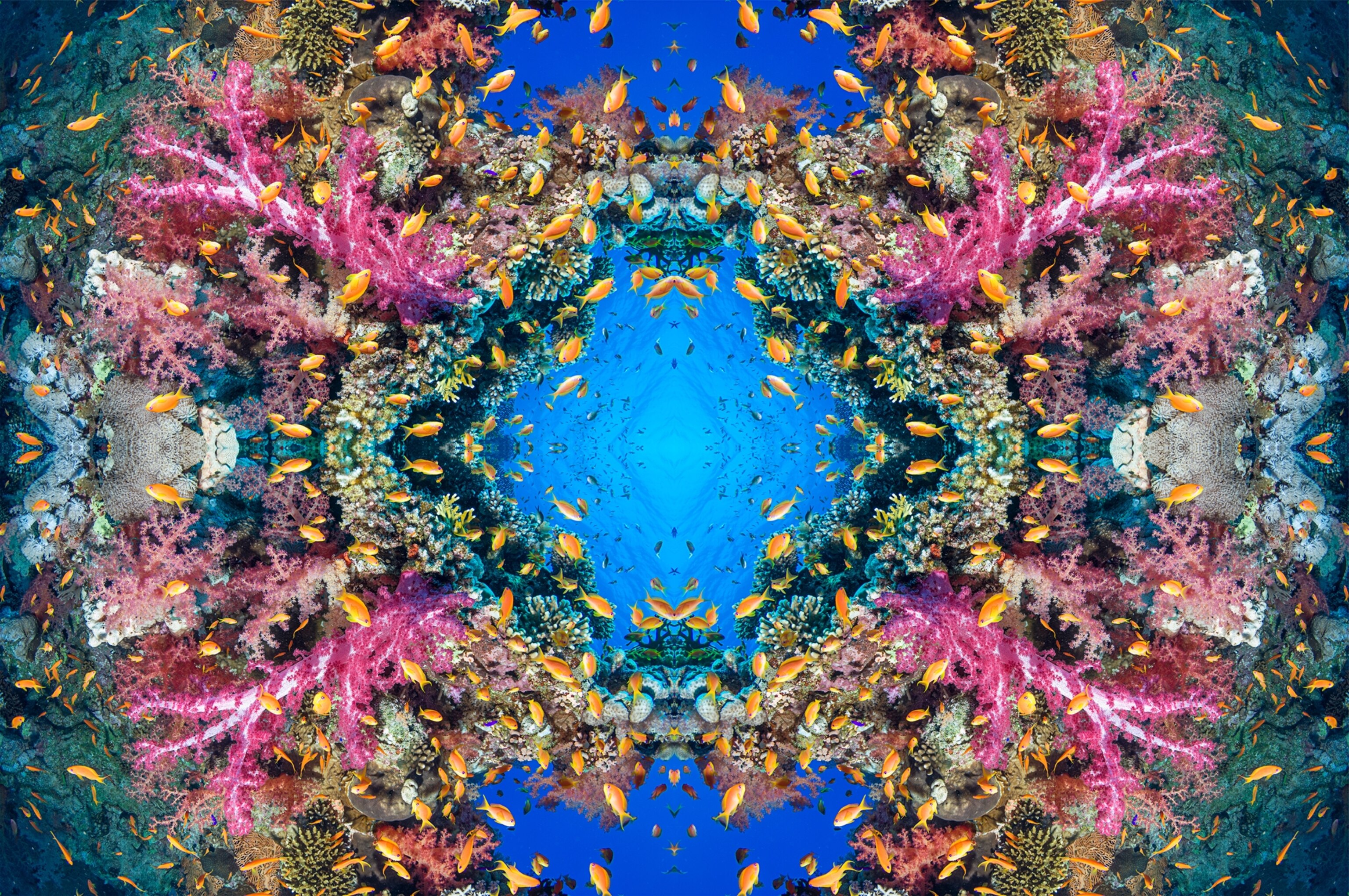 Kaleydoskop image looking like a wreath of flowers.