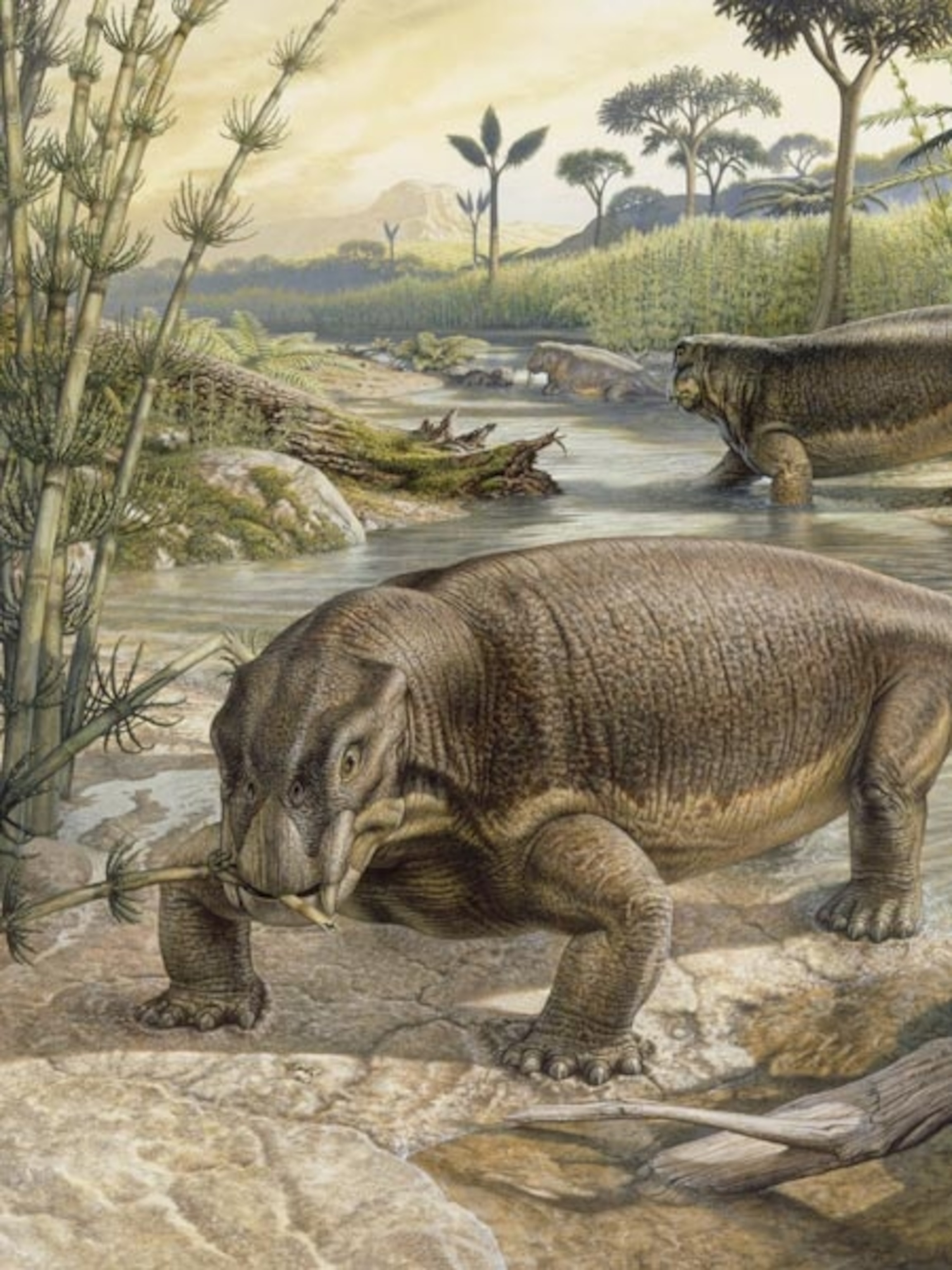 Image: An artist's depiction of lystrosaurs