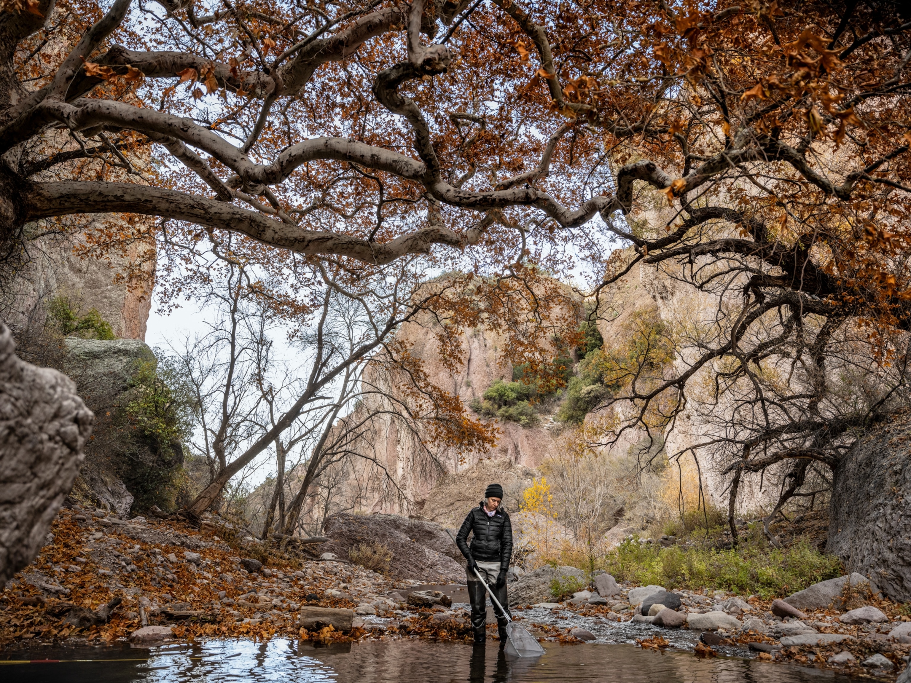 Woman with net standing in shallow water in late fall.