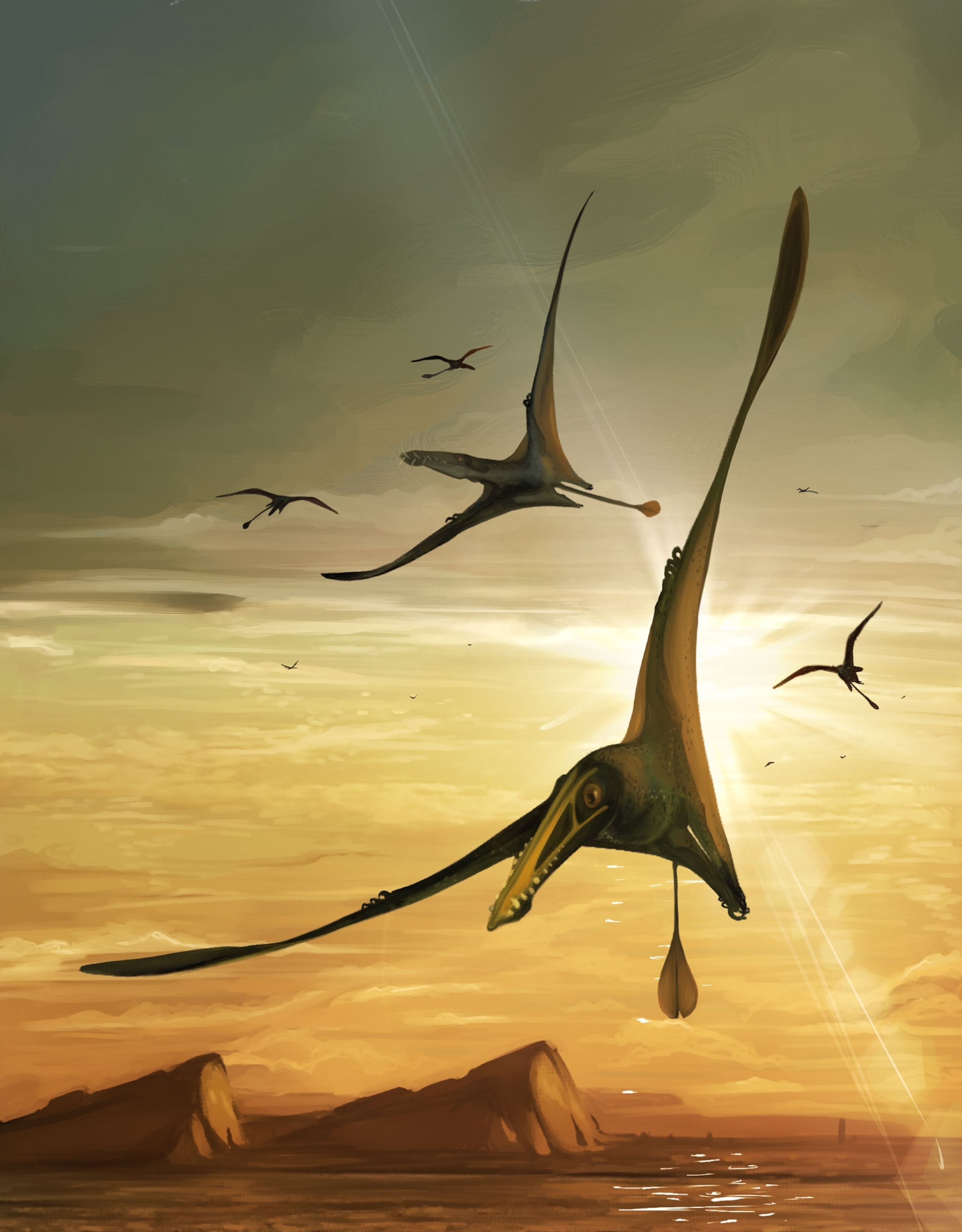 An illustration of a genus of pterosaur flying against a golden sky