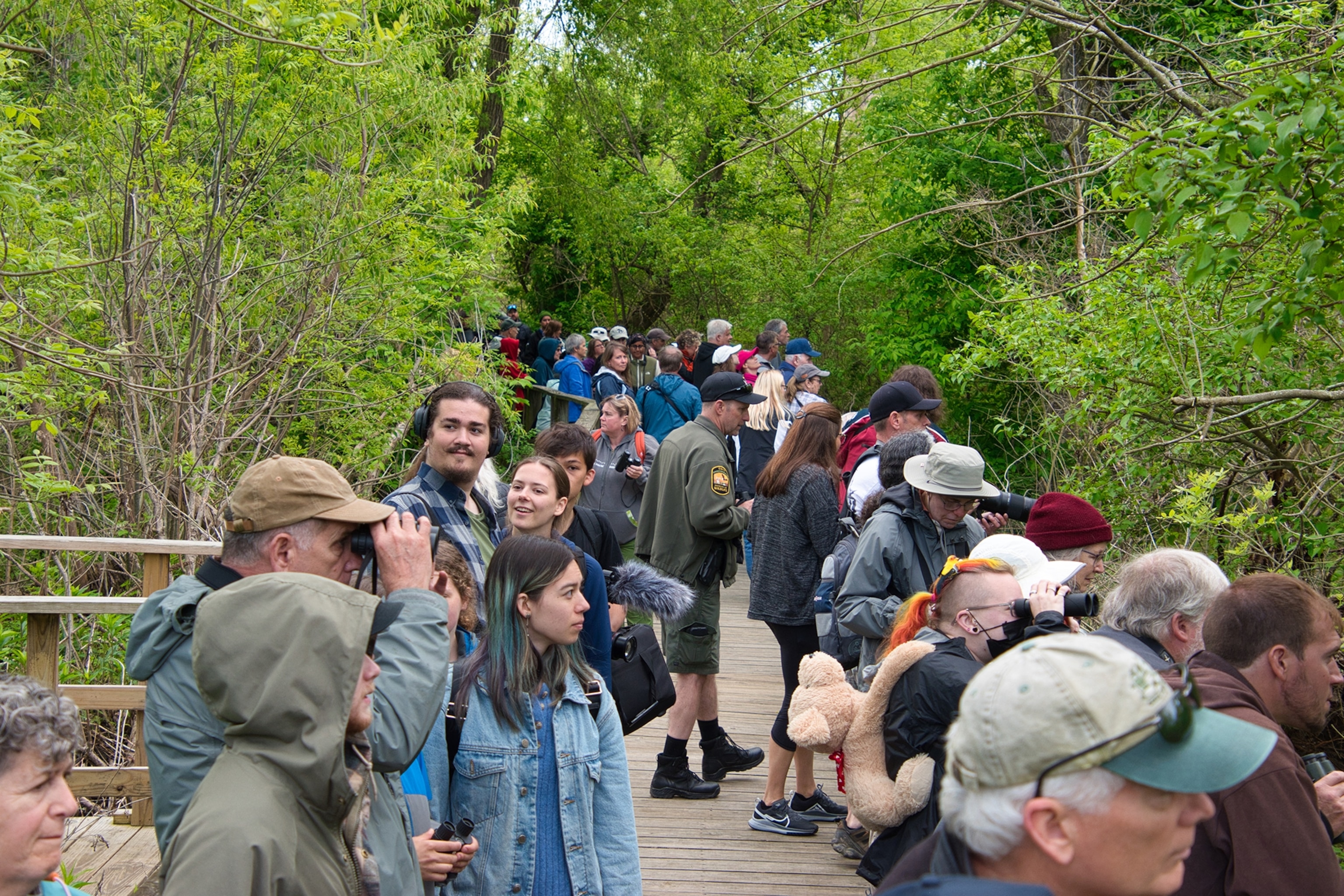 A crowd on a wooden walkway.
