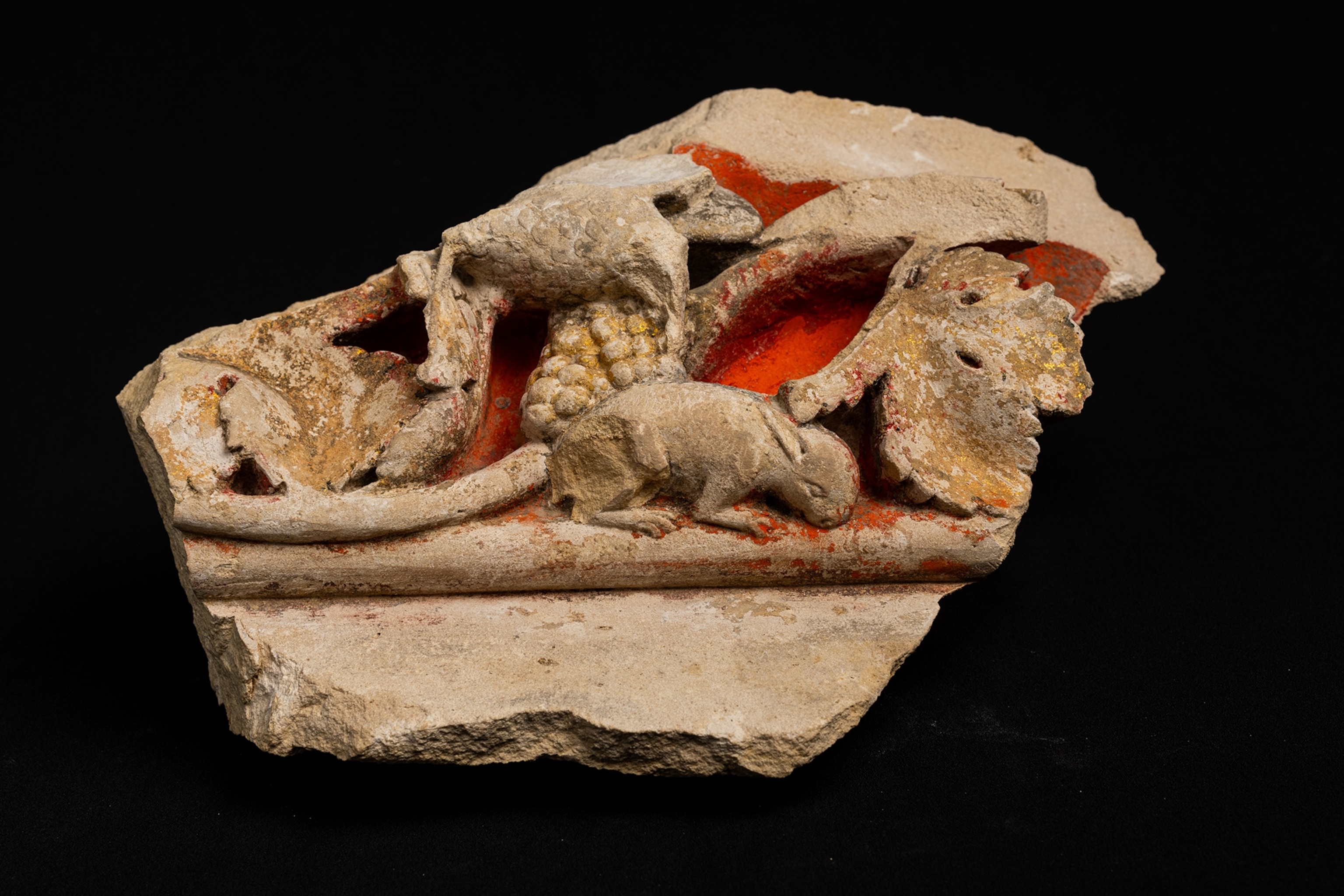 Fragment of plant frieze with rodent with bits of red paint photographed against a black studio background.