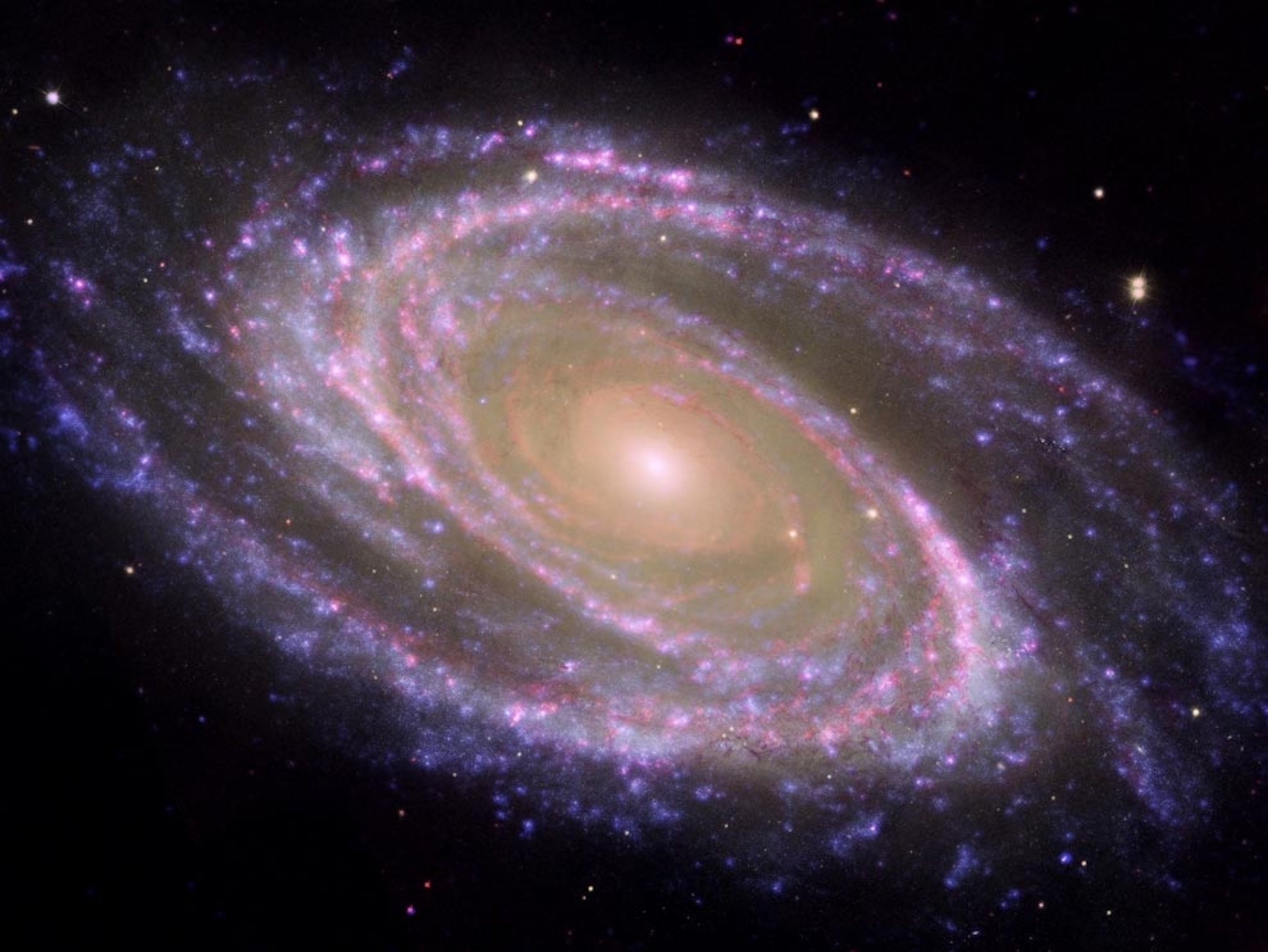 a composite of spiral-shaped Messier 81 galaxy