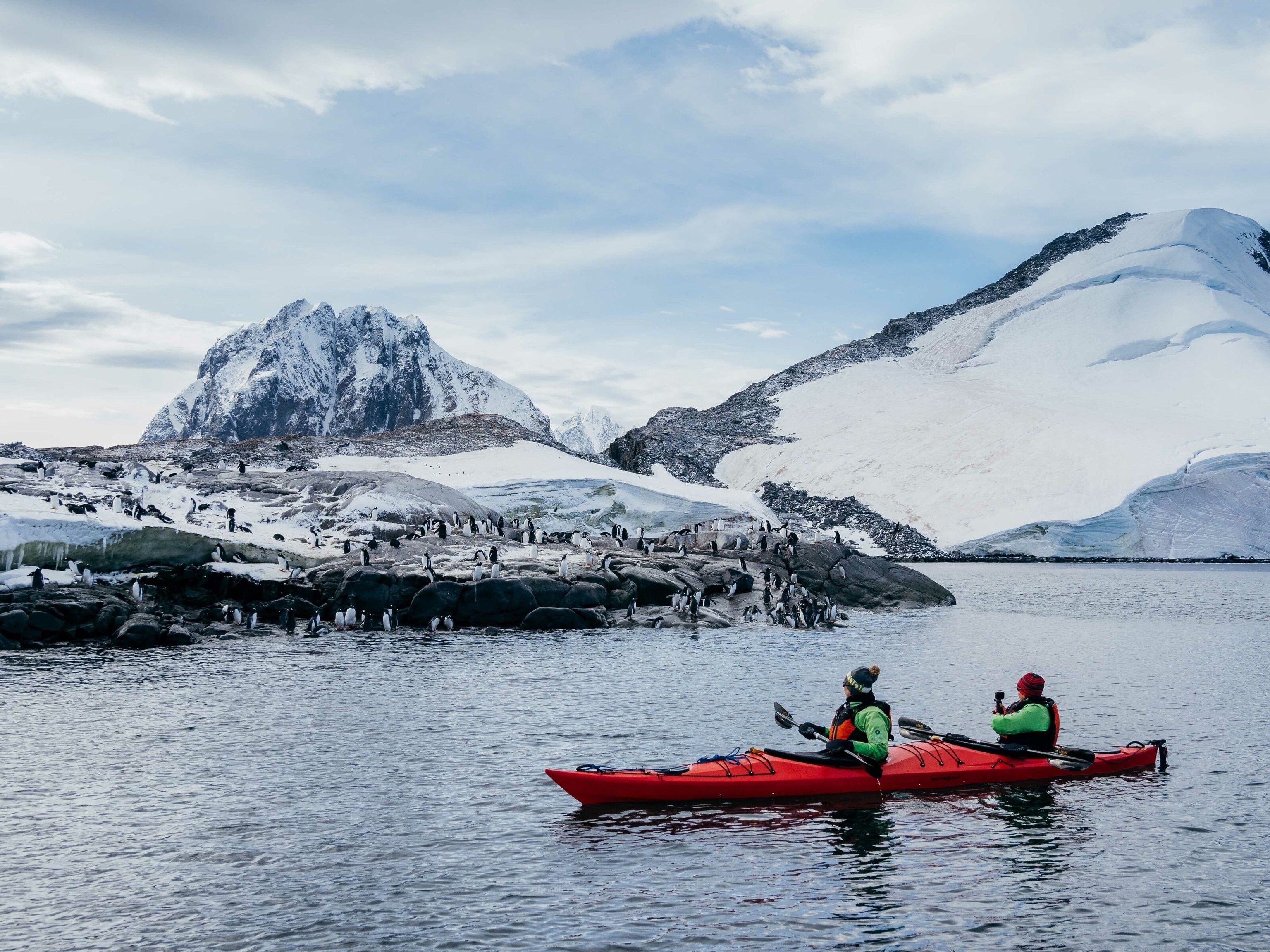 Two kayakers look at penguins gathered on a rock.