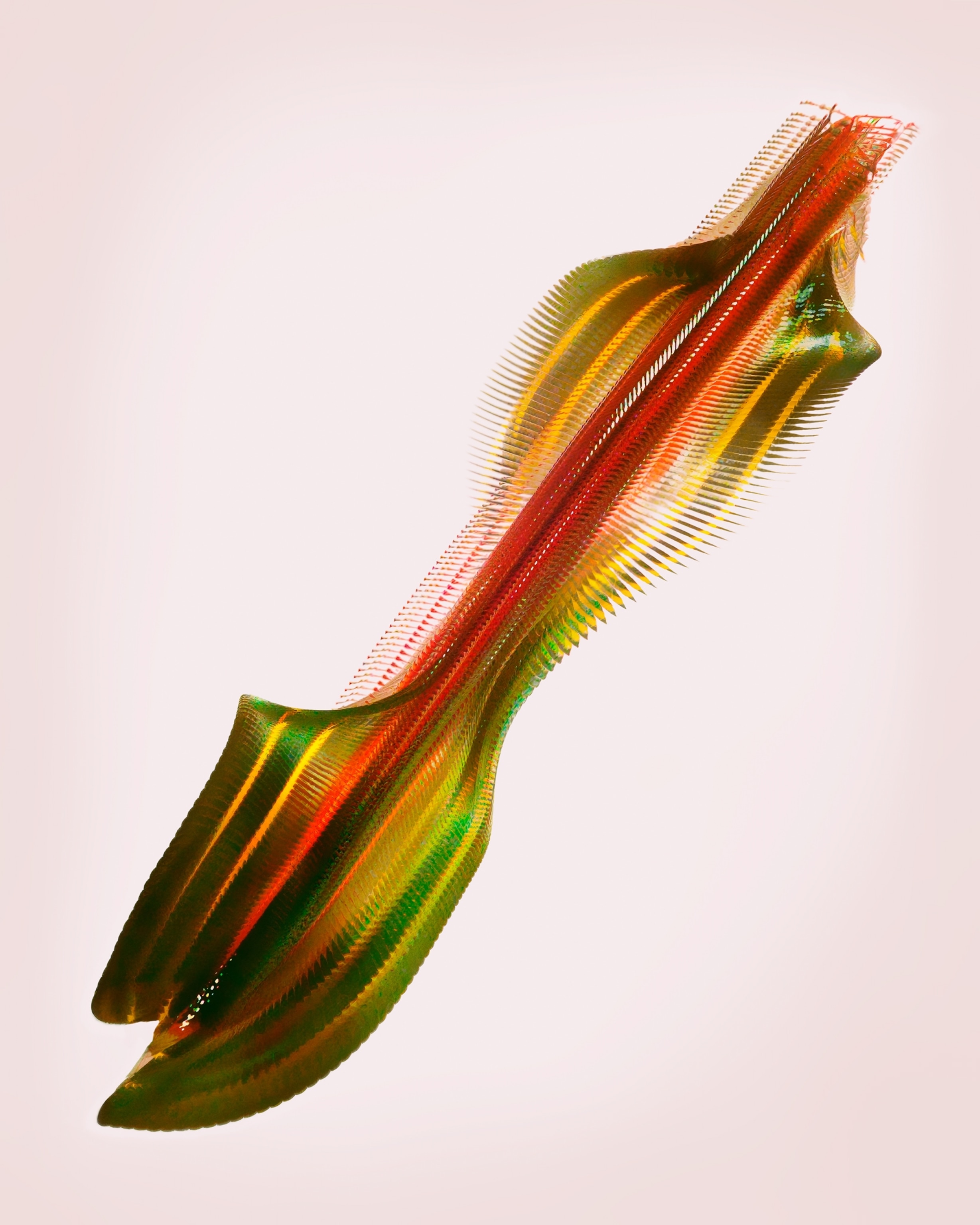 Looks like twisted rainbow.