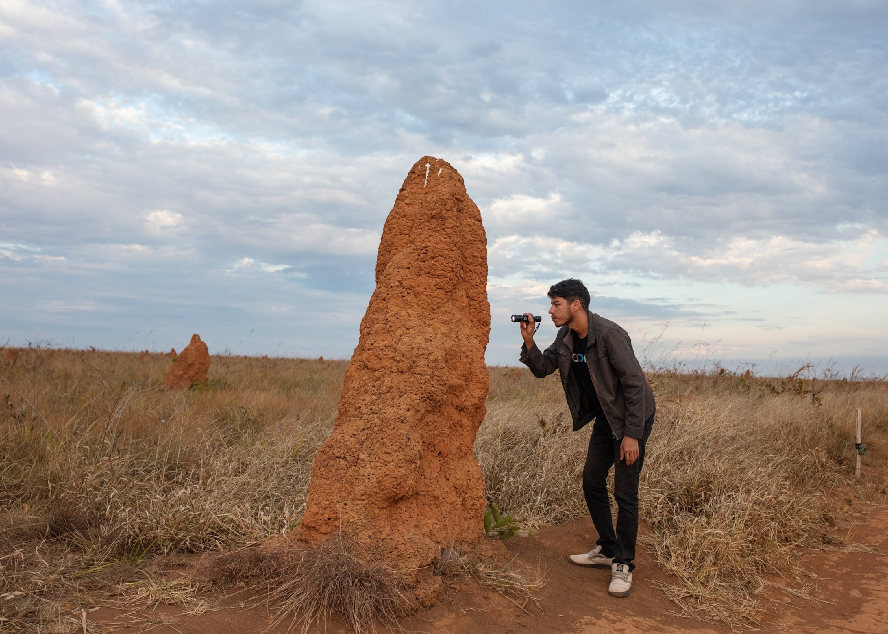Local resident Phablo Araujo inspects a large anthill inside Emas National Park.