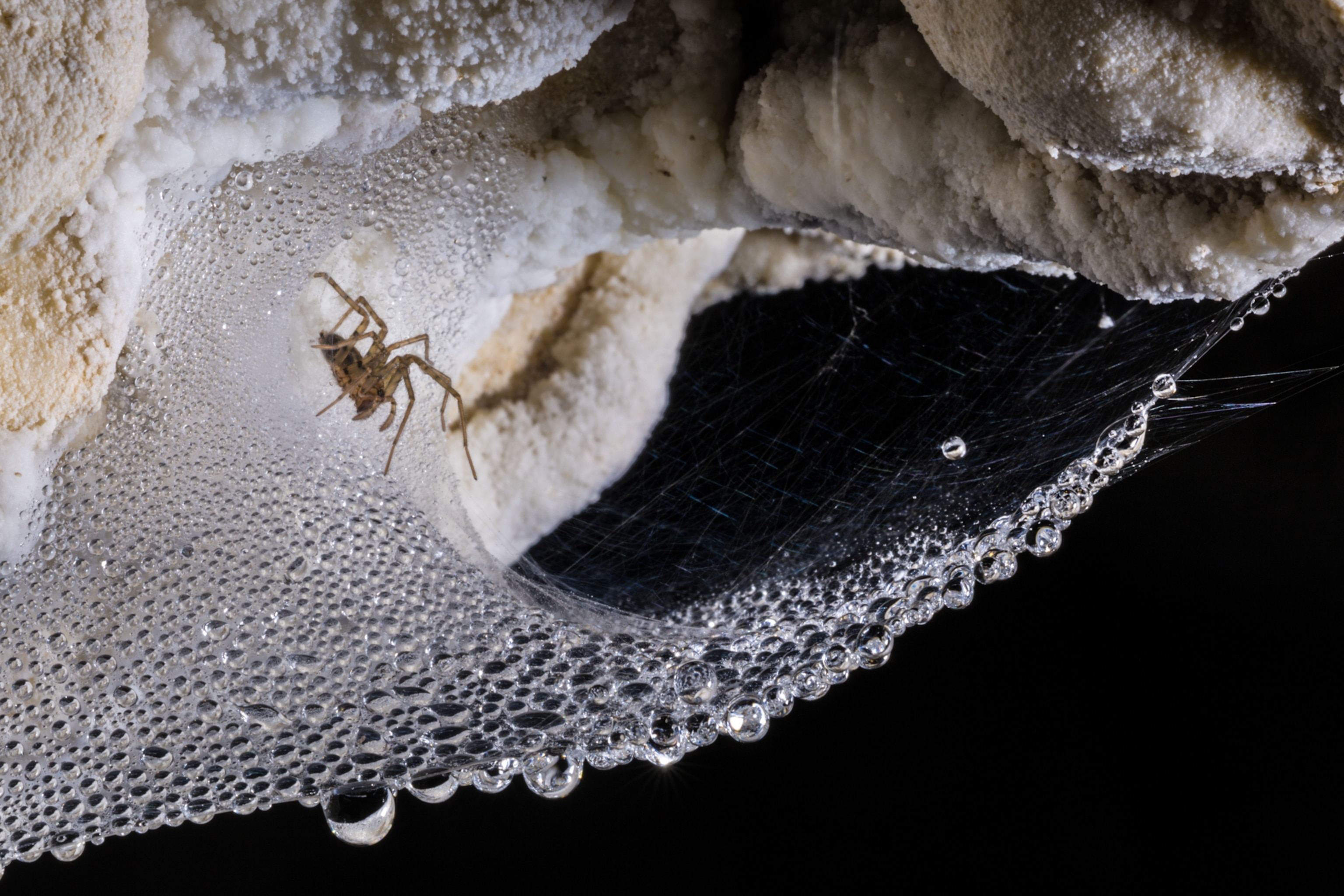 a spider web draped under a cave corner, covered in water droplets