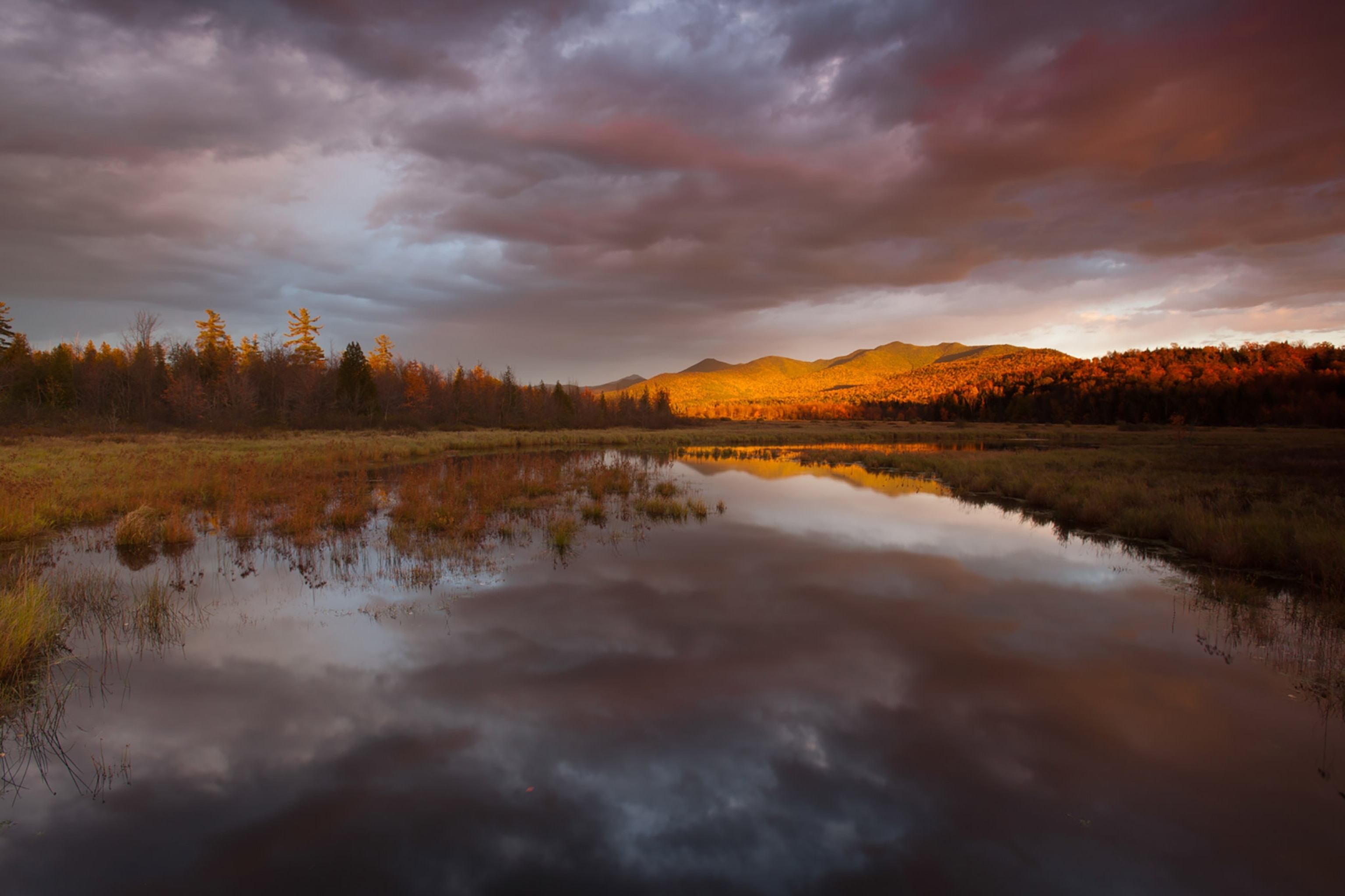Moose Creek in Adirondack State Park