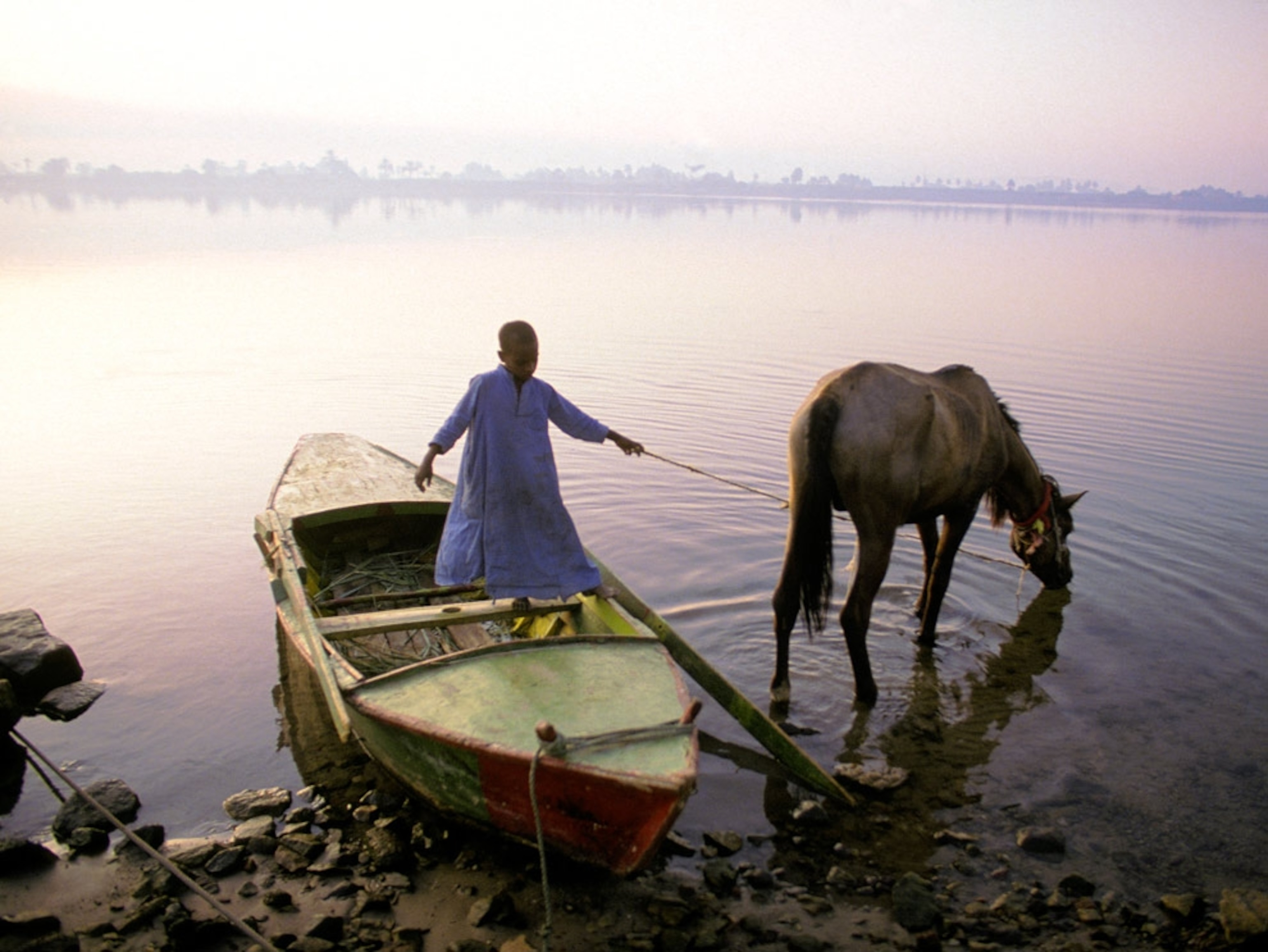 A boy, boat, and horse on a river shore
