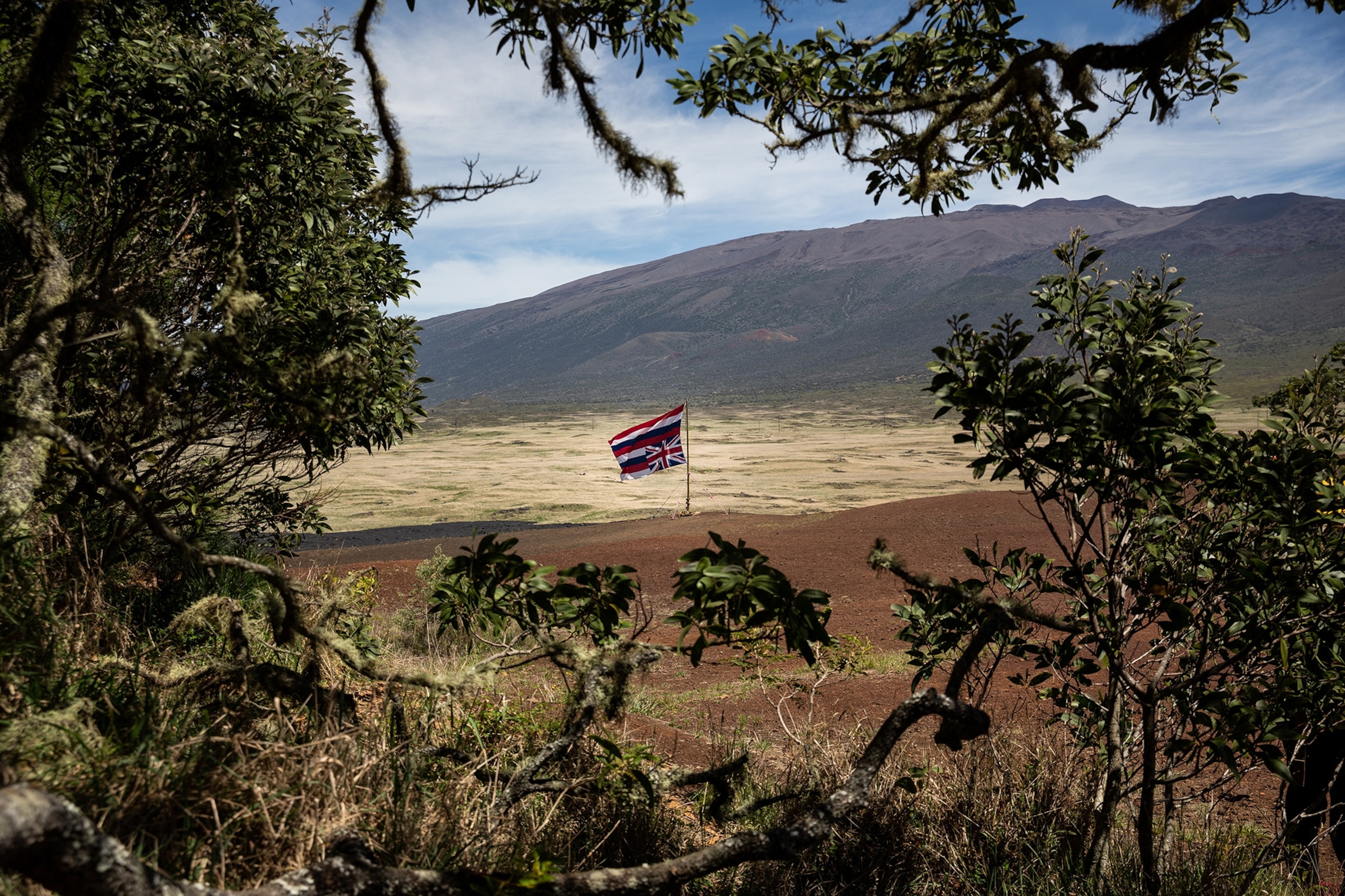 A flag billows in the wind in an open field framed by trees.
