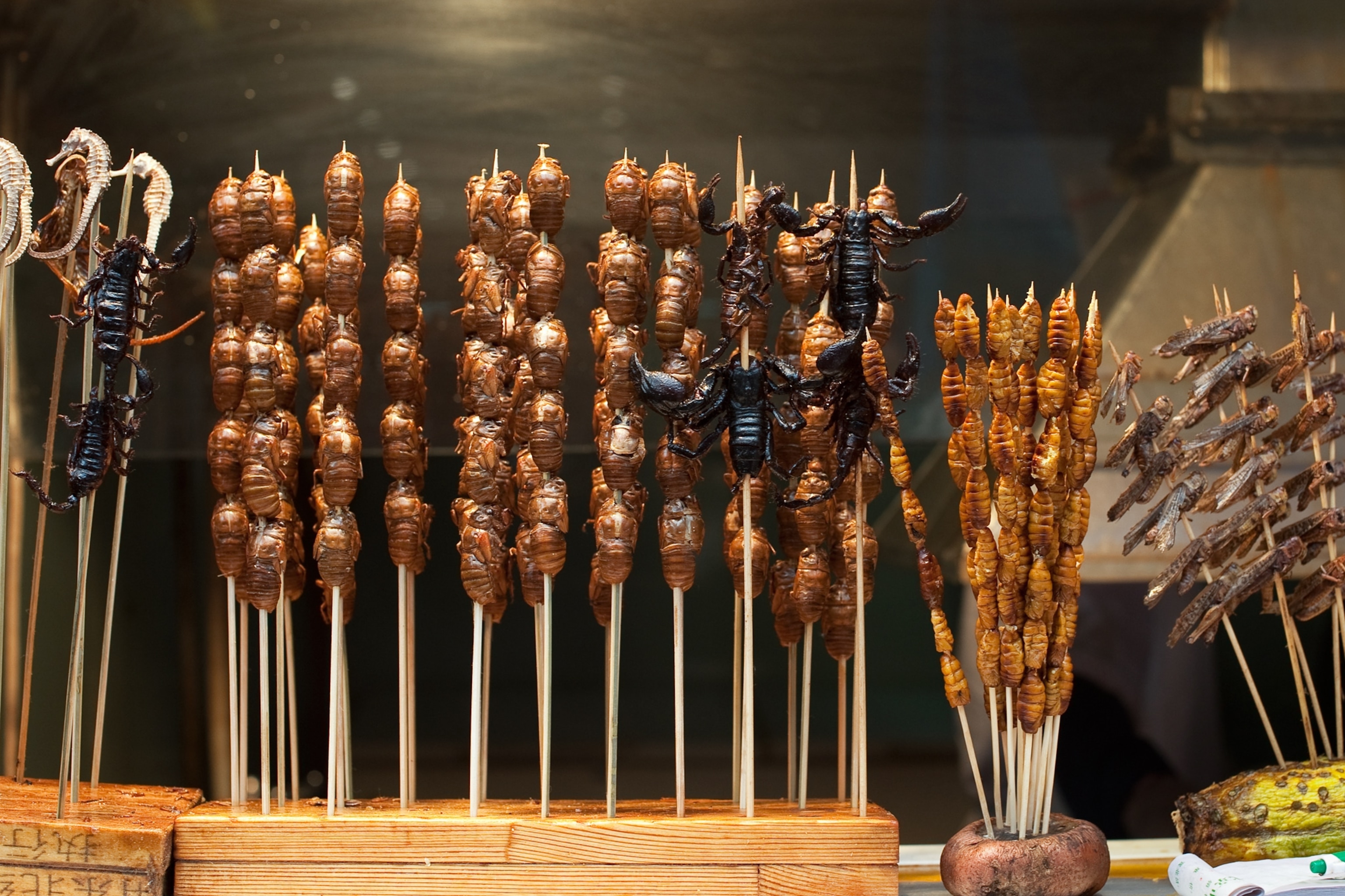 Cicadas on skewers in Beijing, China.