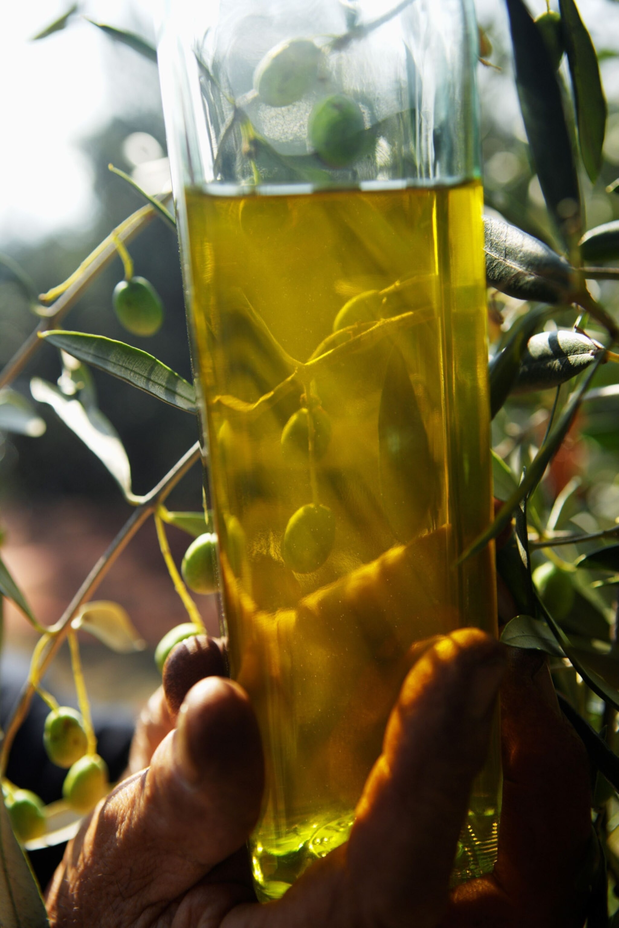 A close up of a glass in a farmers hand.