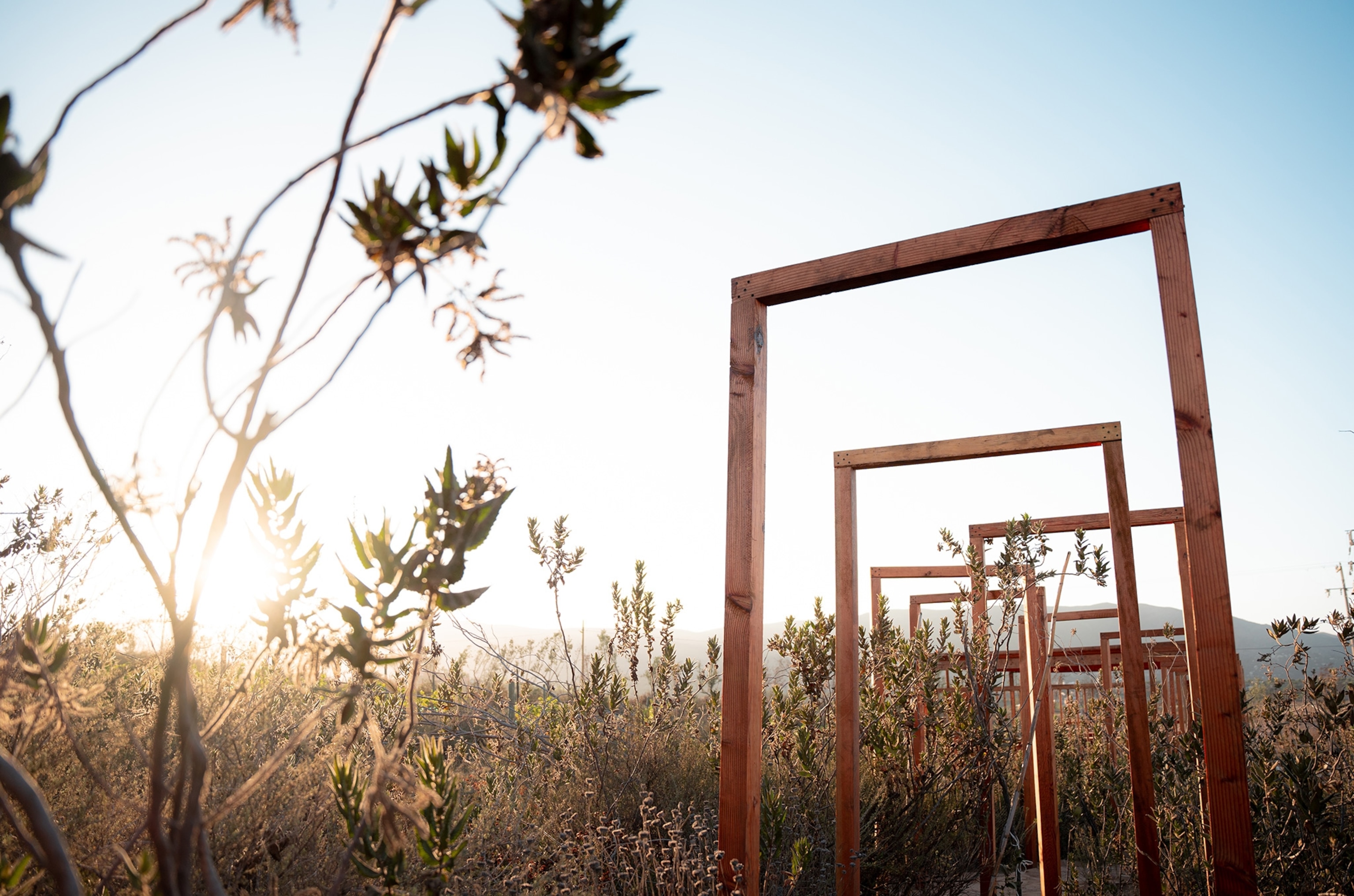 A sunlight-filled garden walkway at Banyan Tree Veya Valle de Guadalupe.
