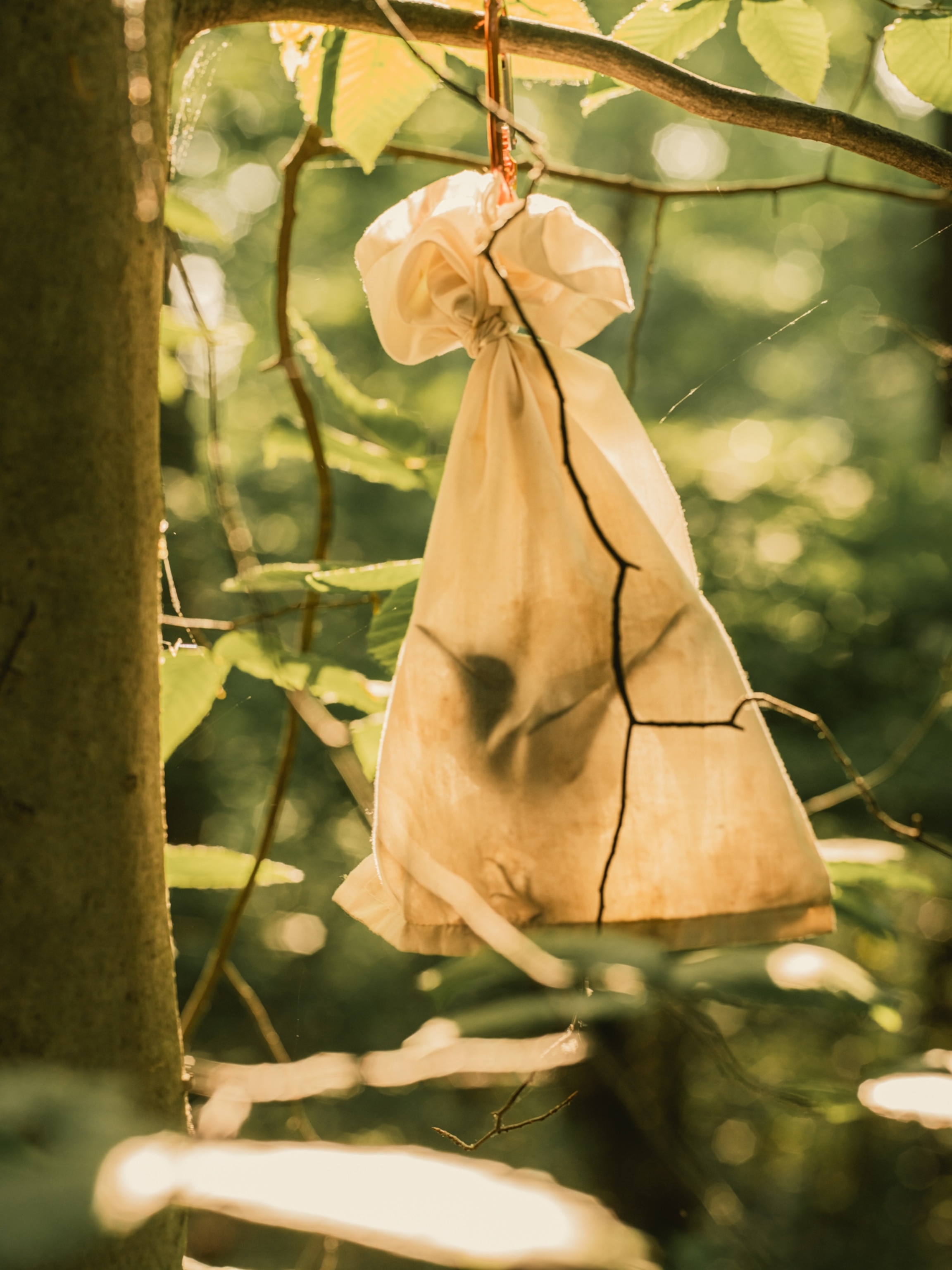 a bird is in a cloth bag hanging from a tree