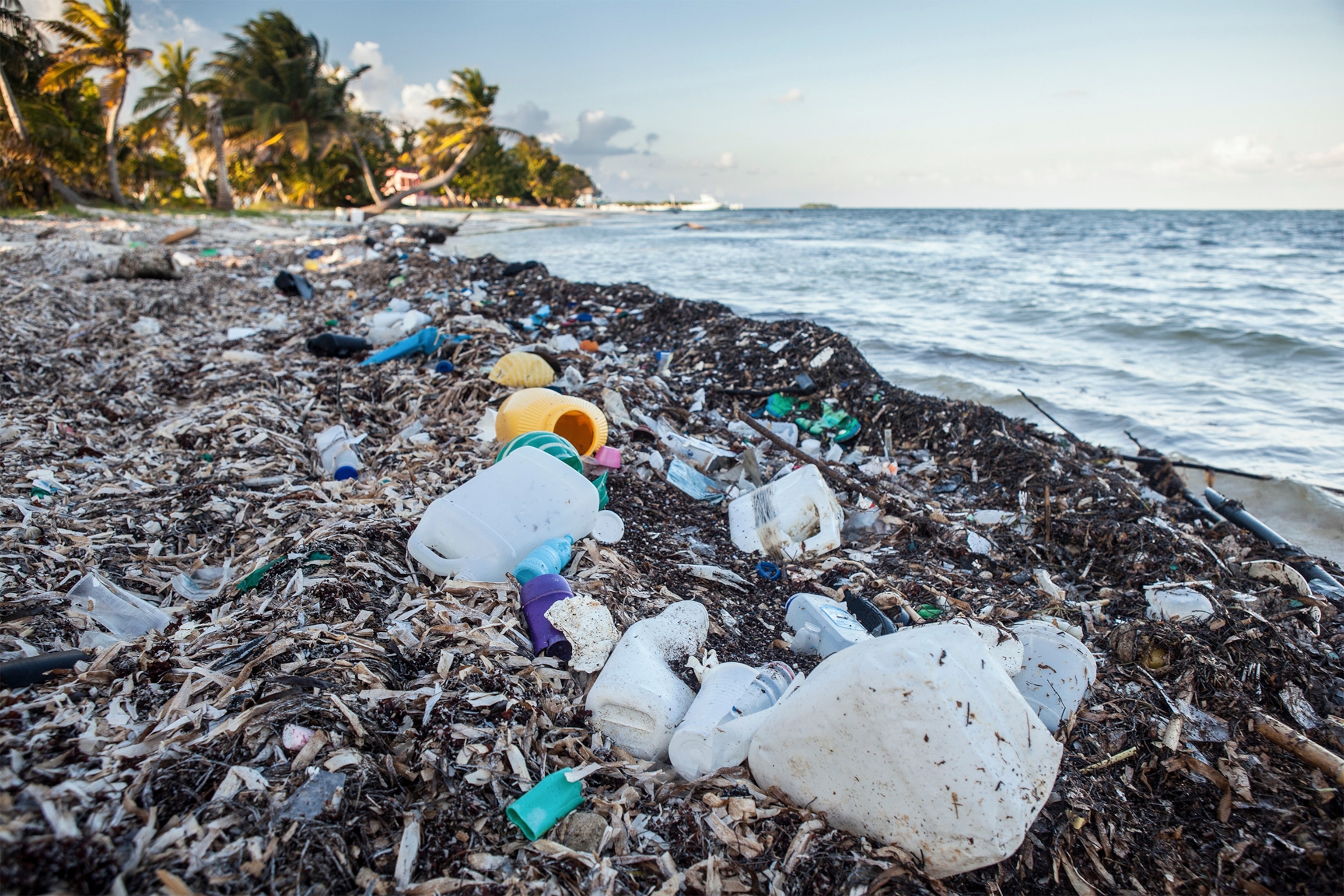 plastic waste washed ashore, Turneffe Atoll, Belize