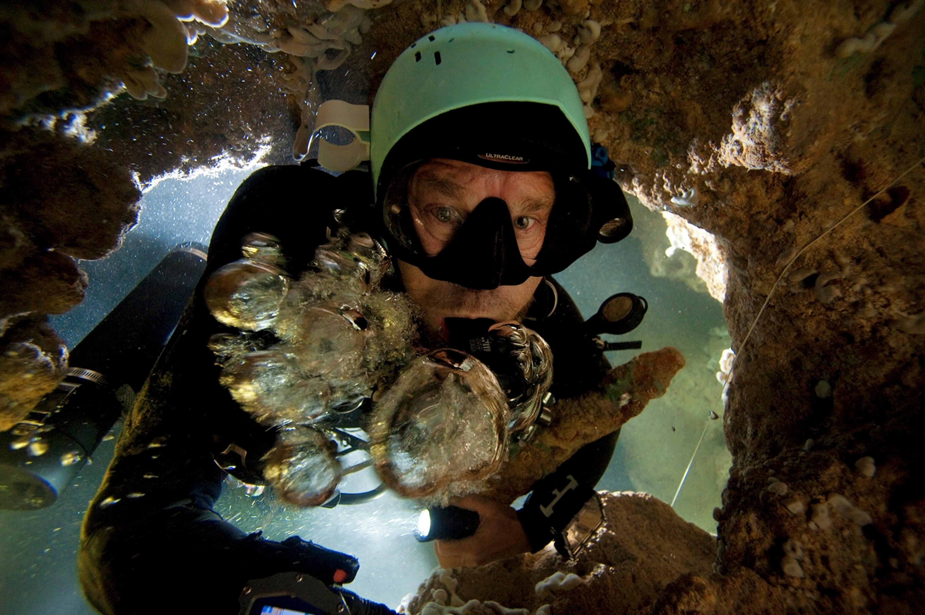 a cave diver in a blue hole on Abaco