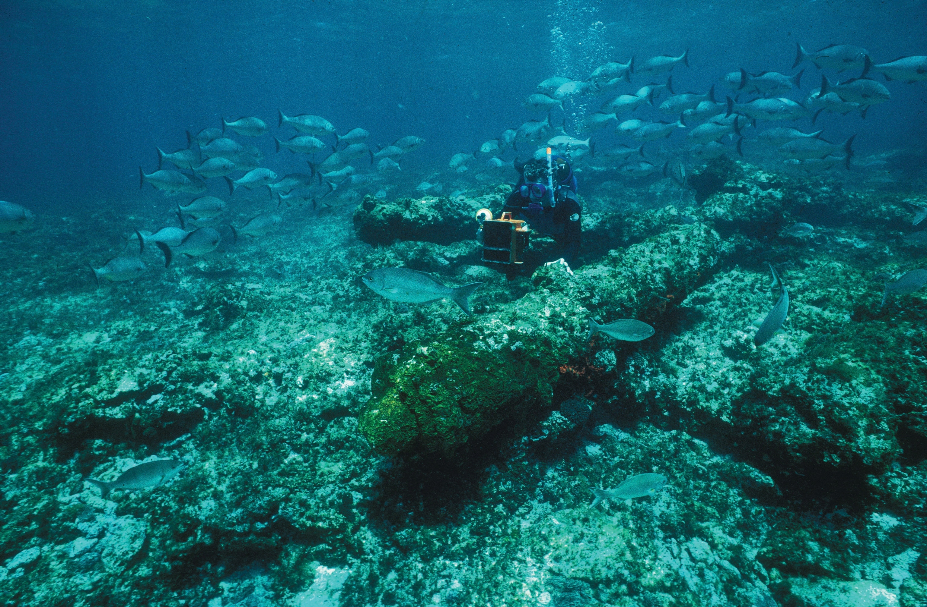 Underwater wreck of the Batavia