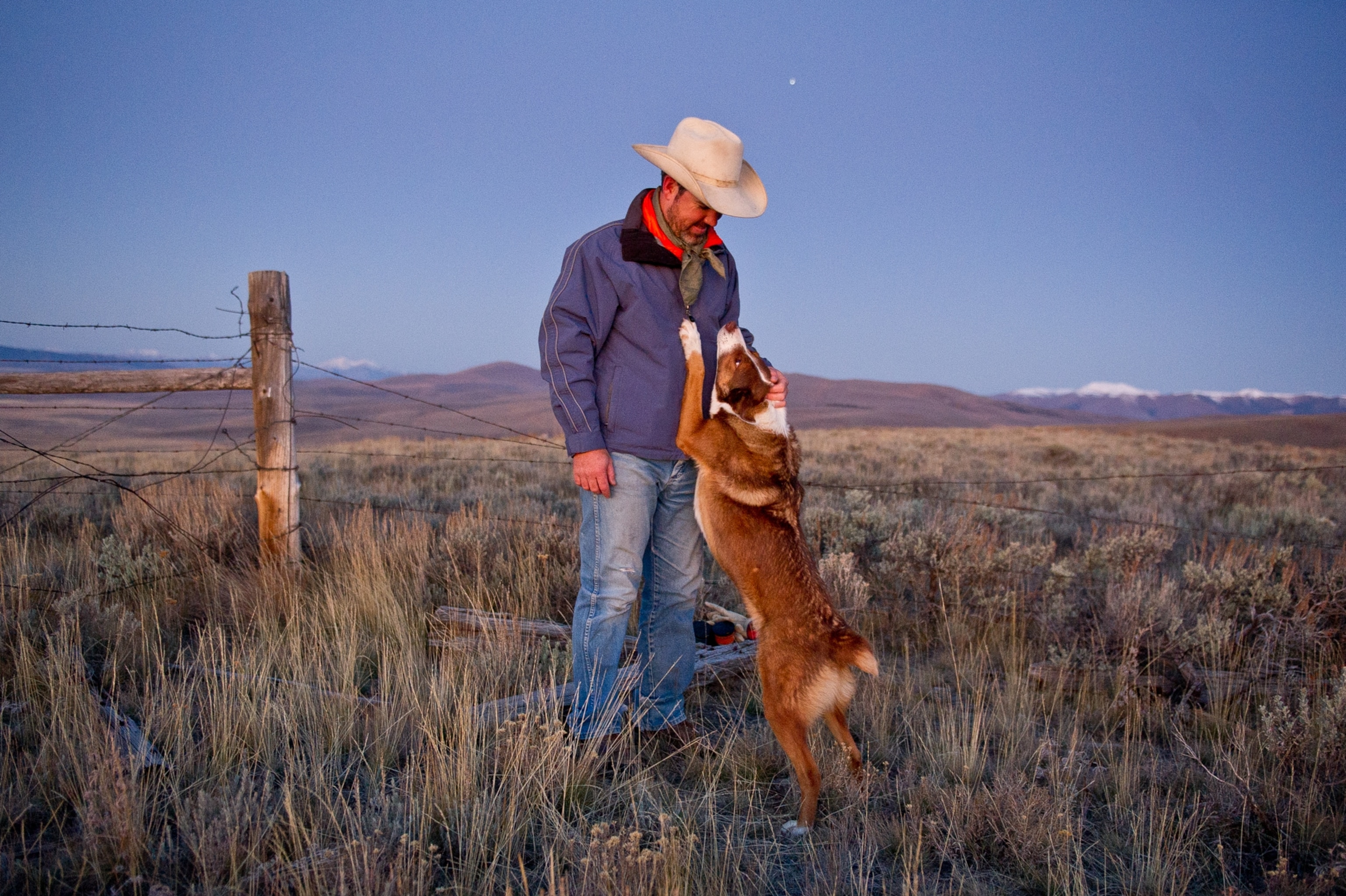 A man standing by a wooden fencepost of a barbed wire fence looks down as his dog stands up on his hind-legs for pets.
