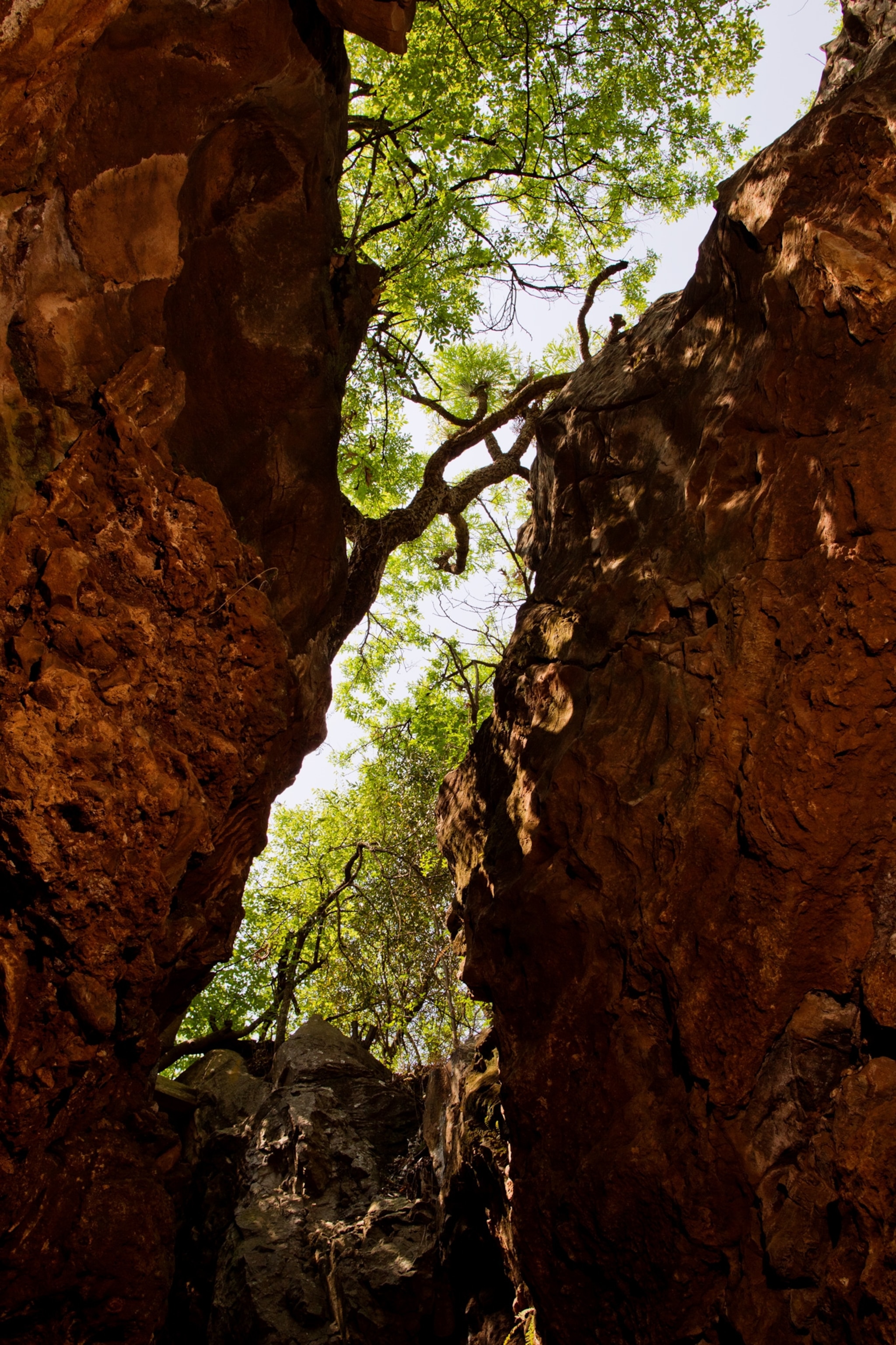 a death trap cave at Sterkfontein, that has yielded numerous Australopithecus remains